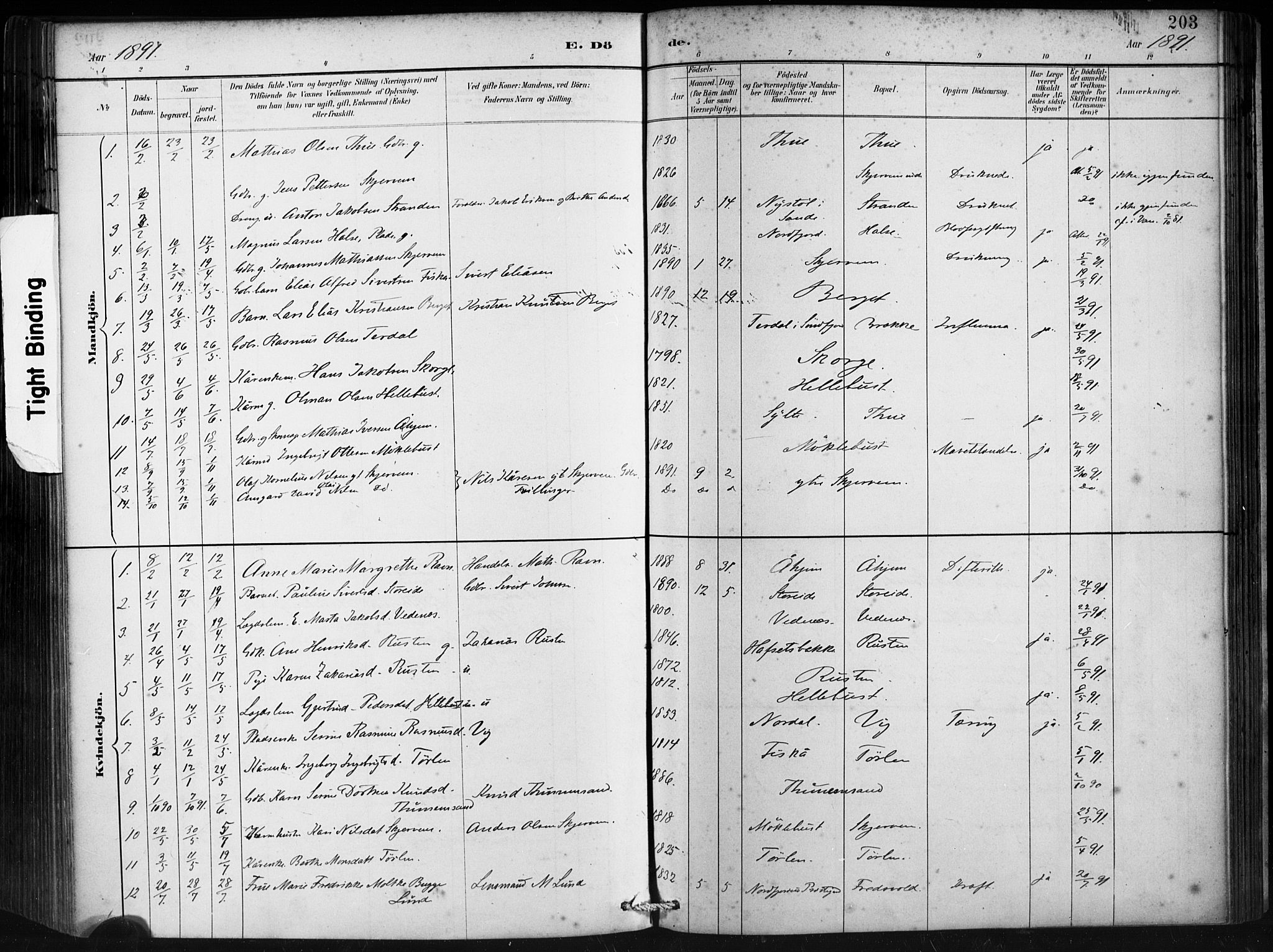 Ministerialprotokoller, klokkerbøker og fødselsregistre - Møre og Romsdal, SAT/A-1454/501/L0008: Parish register (official) no. 501A08, 1885-1901, p. 203