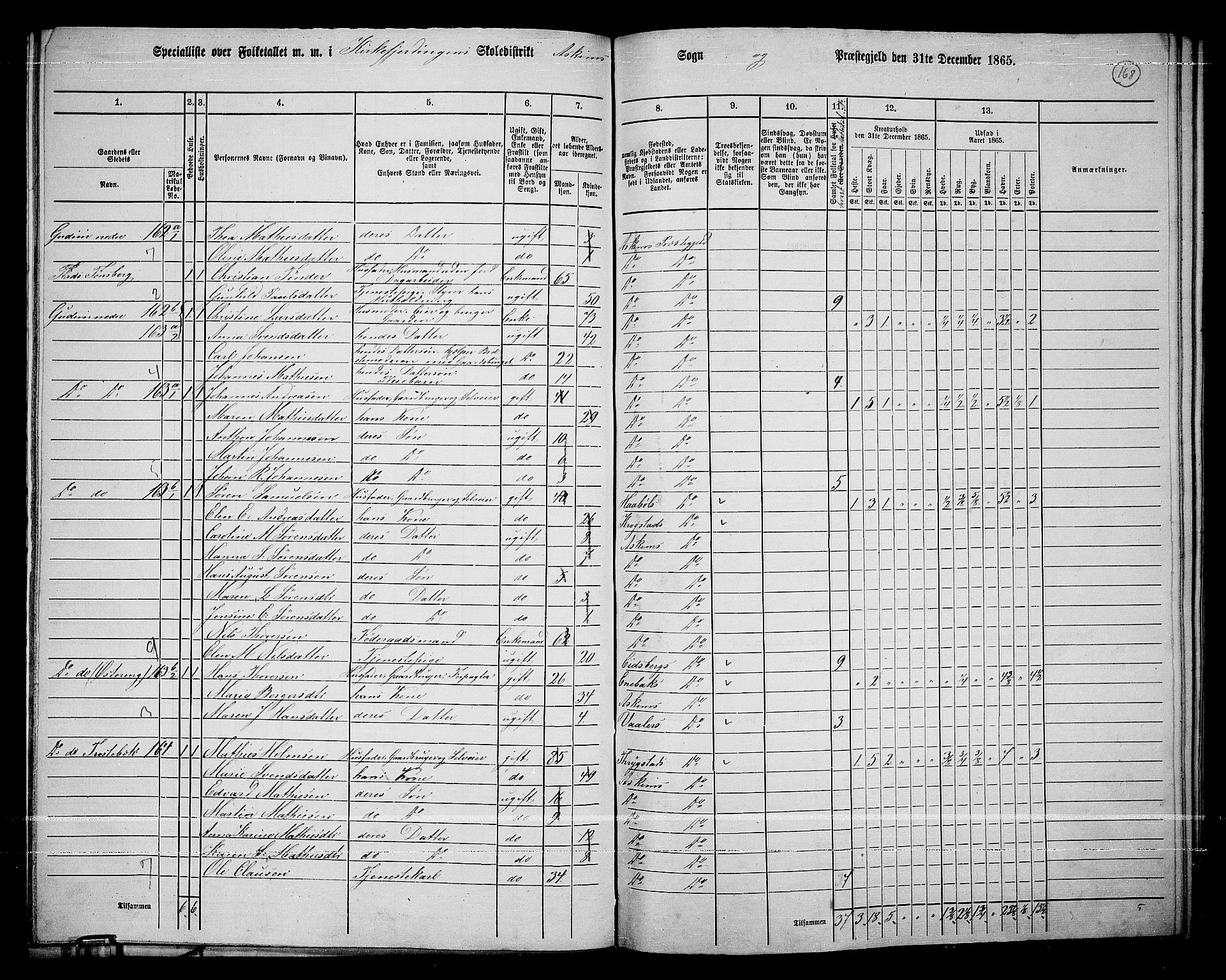 RA, 1865 census for Askim, 1865, p. 31