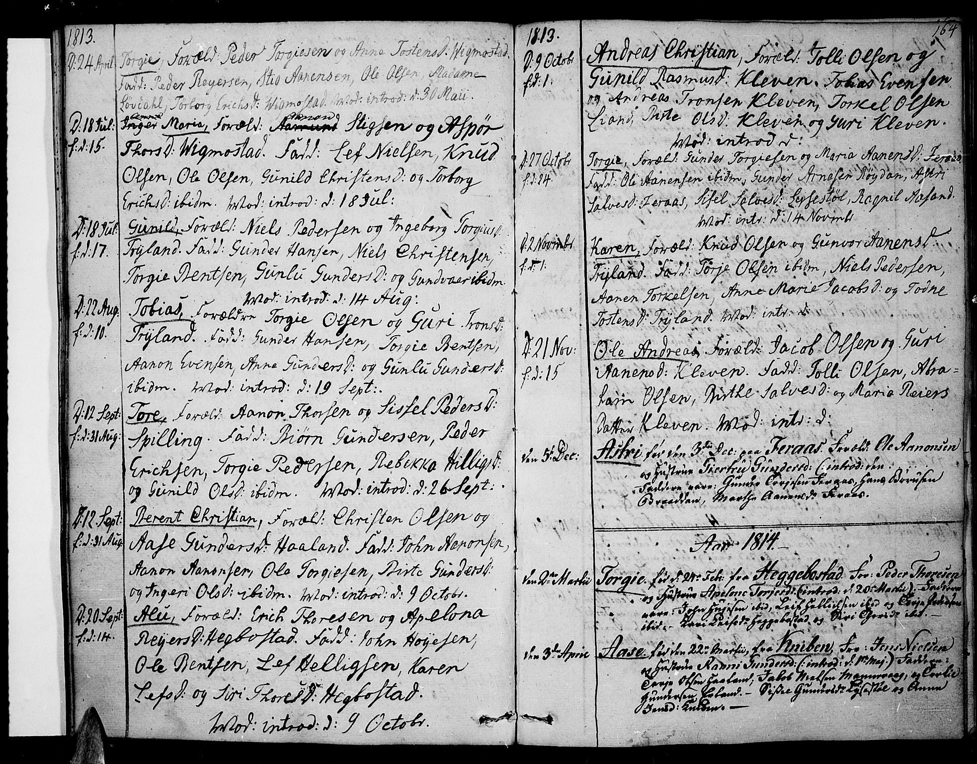 Sør-Audnedal sokneprestkontor, AV/SAK-1111-0039/F/Fa/Fab/L0004: Parish register (official) no. A 4 /3, 1809-1815, p. 164