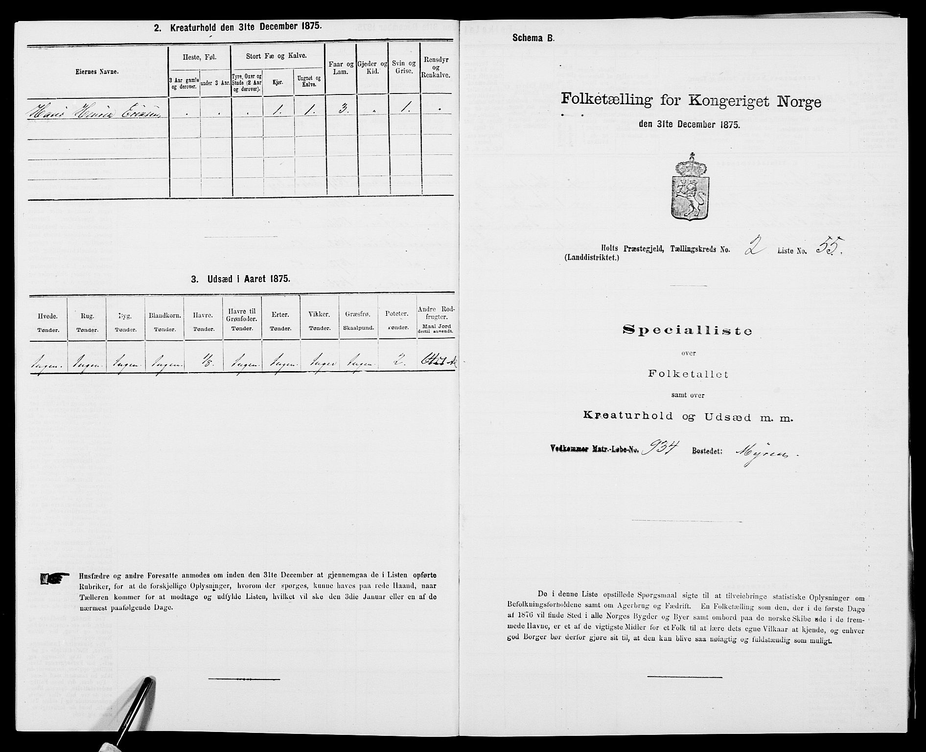 SAK, 1875 census for 0914L Holt/Holt, 1875, p. 305