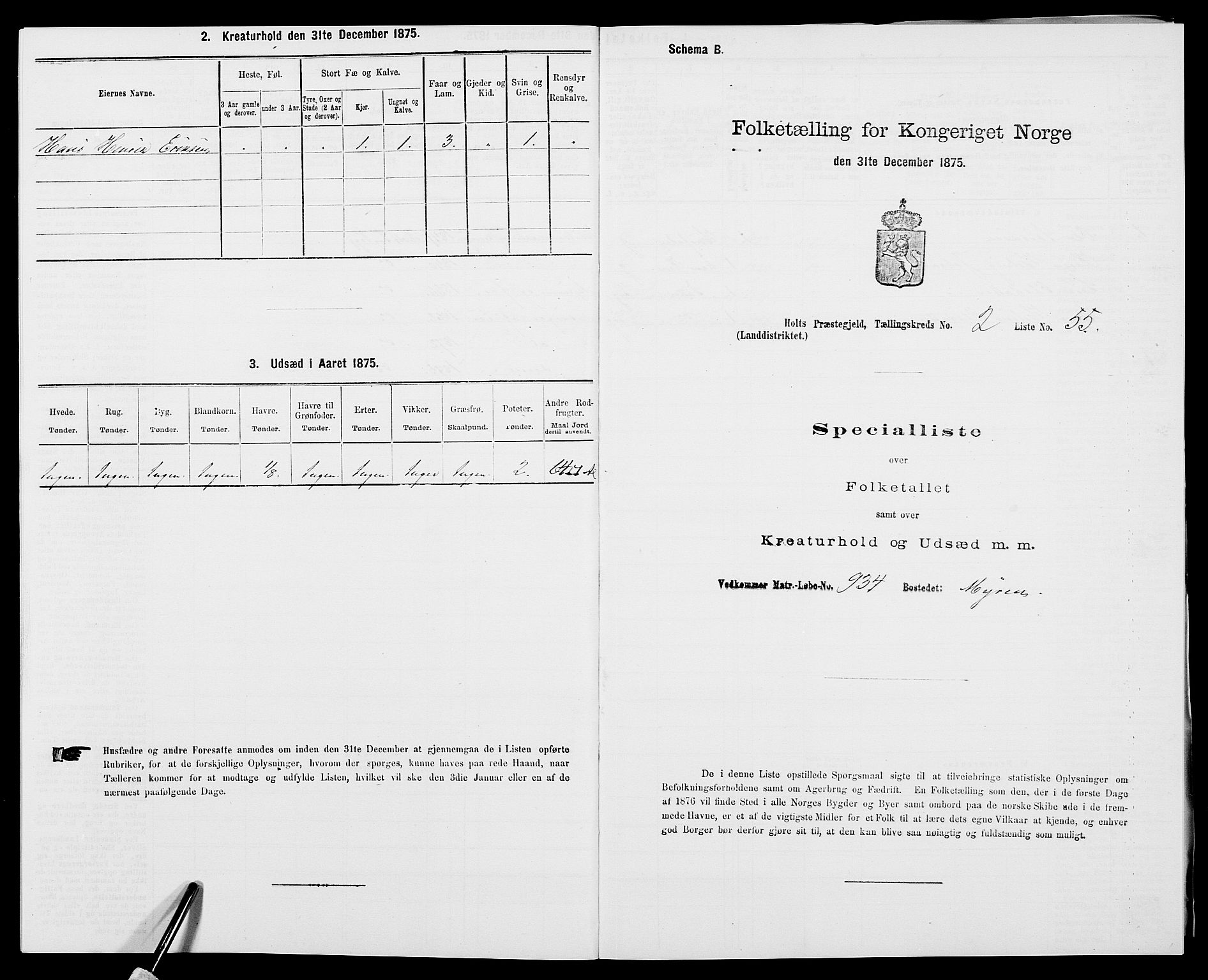 SAK, 1875 census for 0914L Holt/Holt, 1875, p. 305