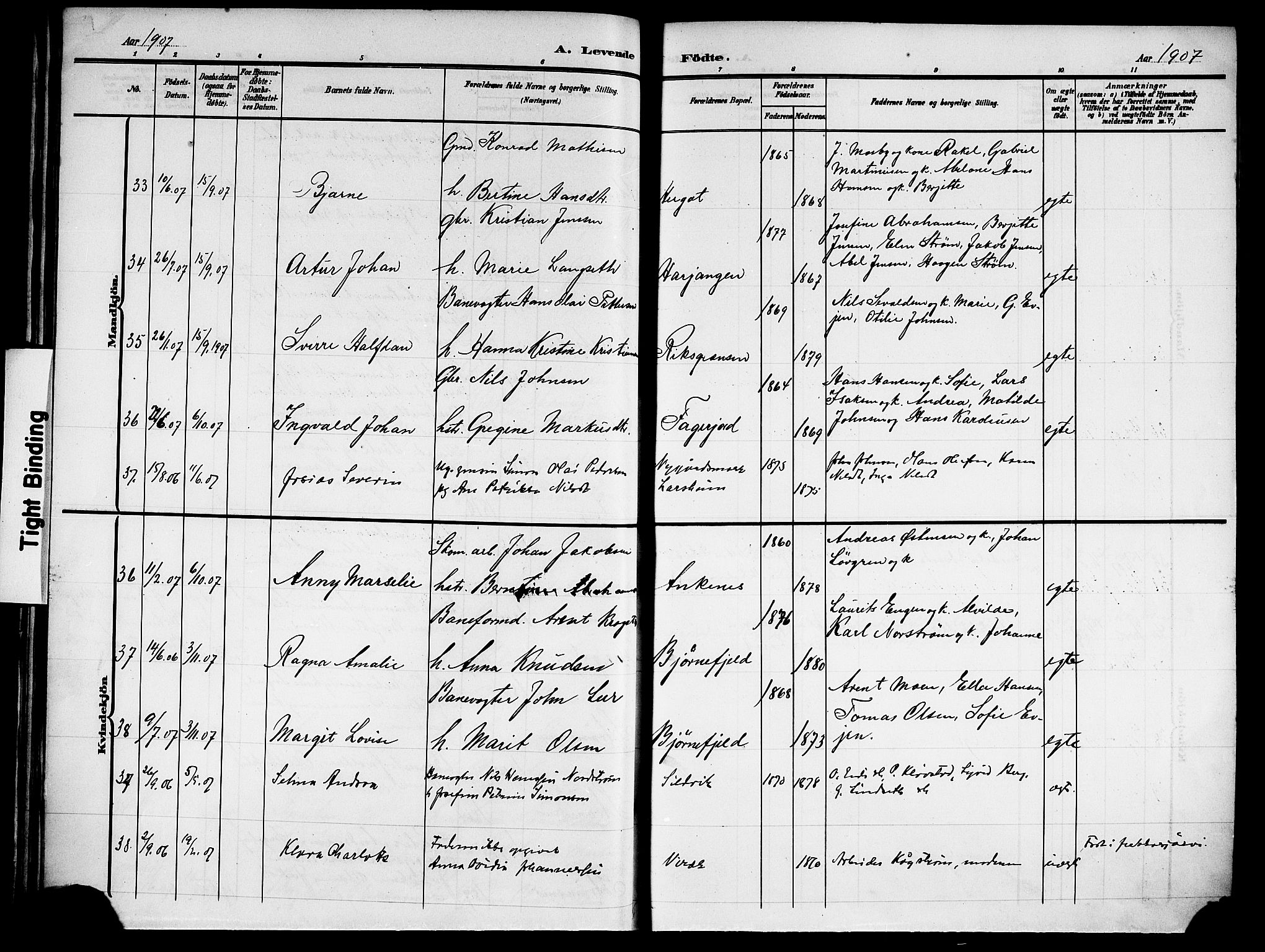 Ministerialprotokoller, klokkerbøker og fødselsregistre - Nordland, AV/SAT-A-1459/866/L0954: Parish register (copy) no. 866C03, 1905-1923