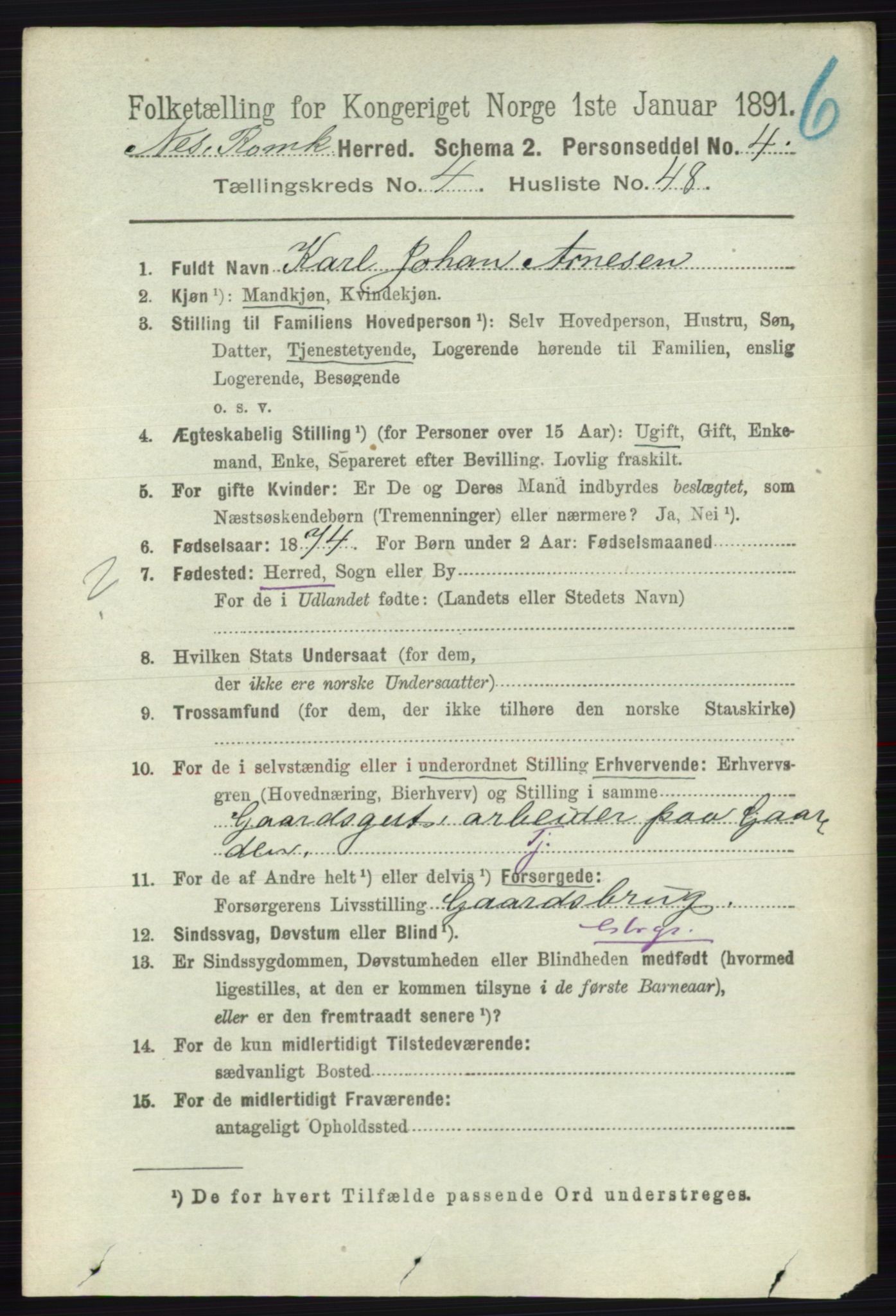 RA, 1891 census for 0236 Nes, 1891, p. 2533