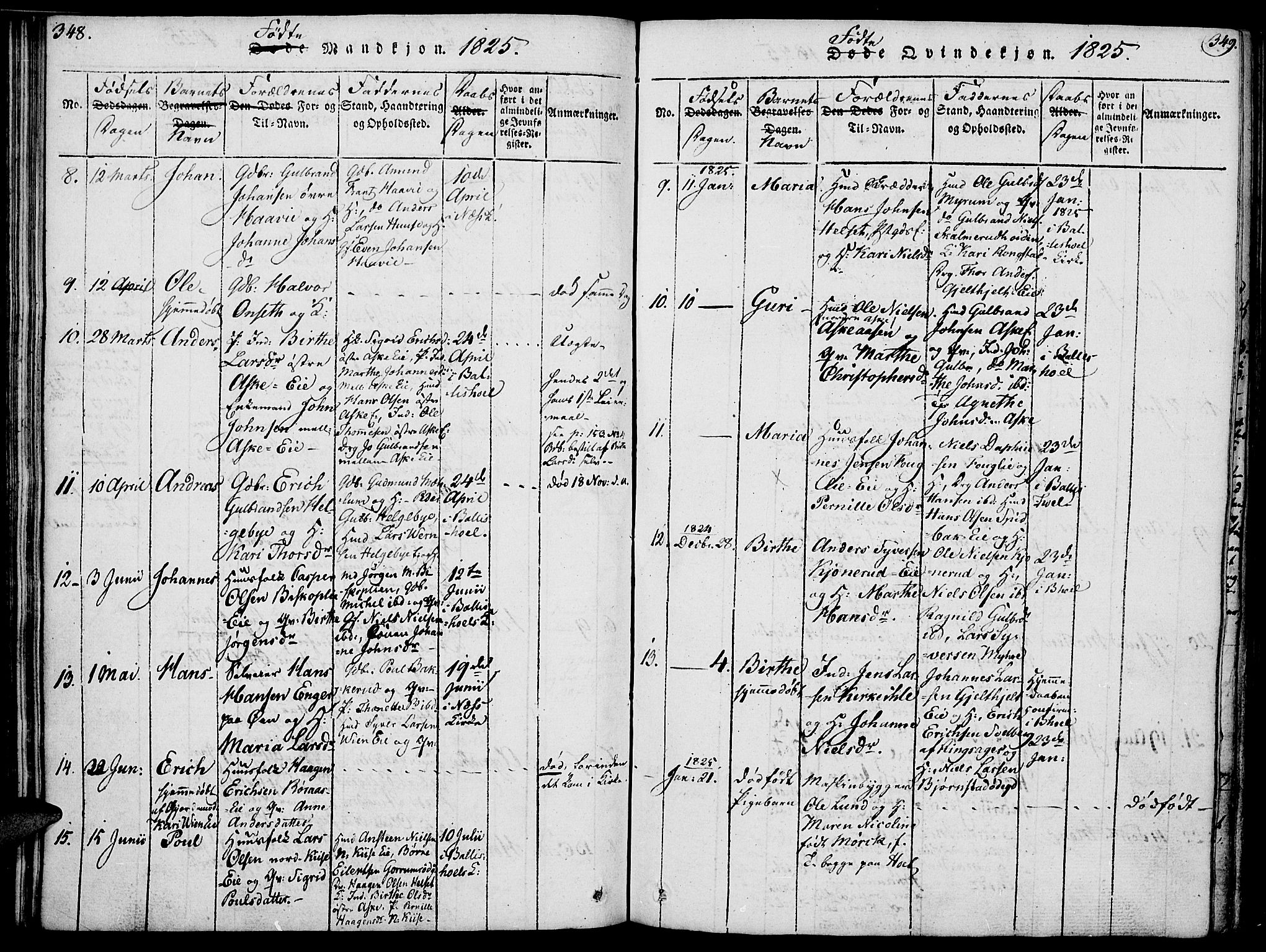 Nes prestekontor, Hedmark, SAH/PREST-020/K/Ka/L0002: Parish register (official) no. 2, 1813-1827, p. 348-349