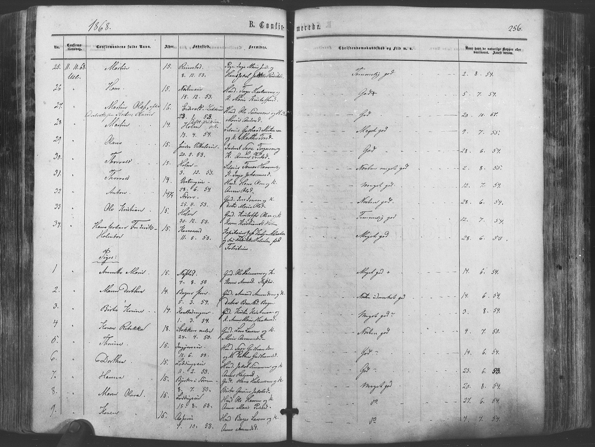 Ullensaker prestekontor Kirkebøker, AV/SAO-A-10236a/F/Fa/L0016: Parish register (official) no. I 16, 1863-1875, p. 256