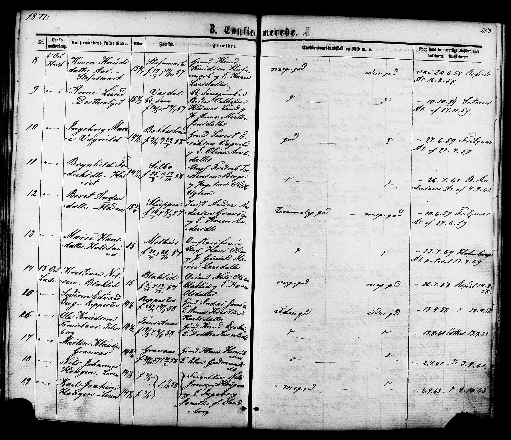 Ministerialprotokoller, klokkerbøker og fødselsregistre - Sør-Trøndelag, SAT/A-1456/606/L0293: Parish register (official) no. 606A08, 1866-1877, p. 253
