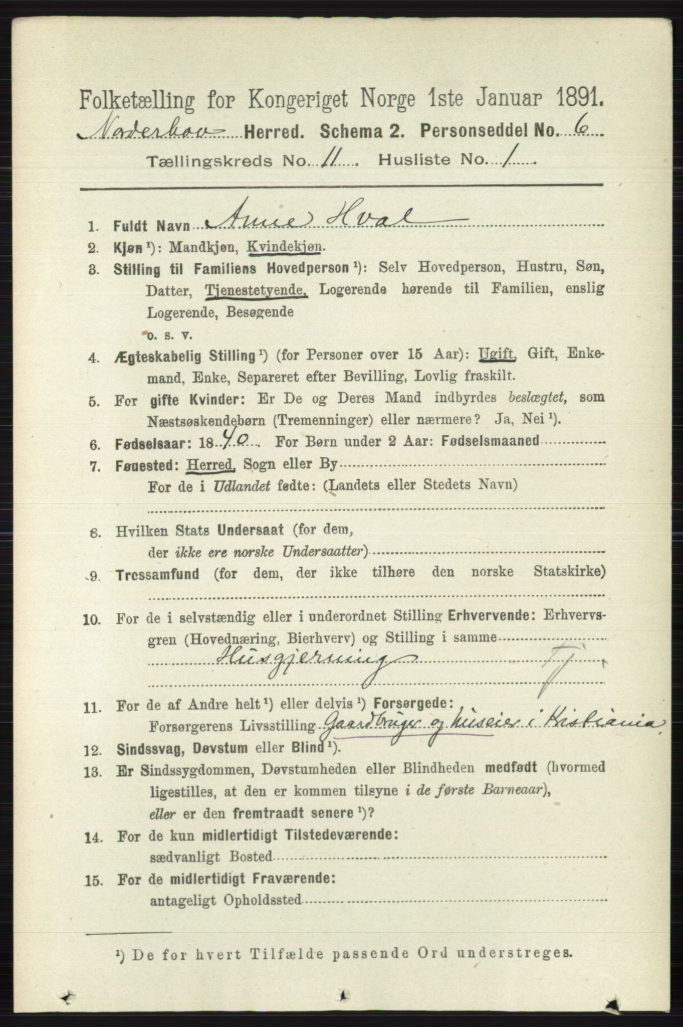 RA, 1891 census for 0613 Norderhov, 1891, p. 8067