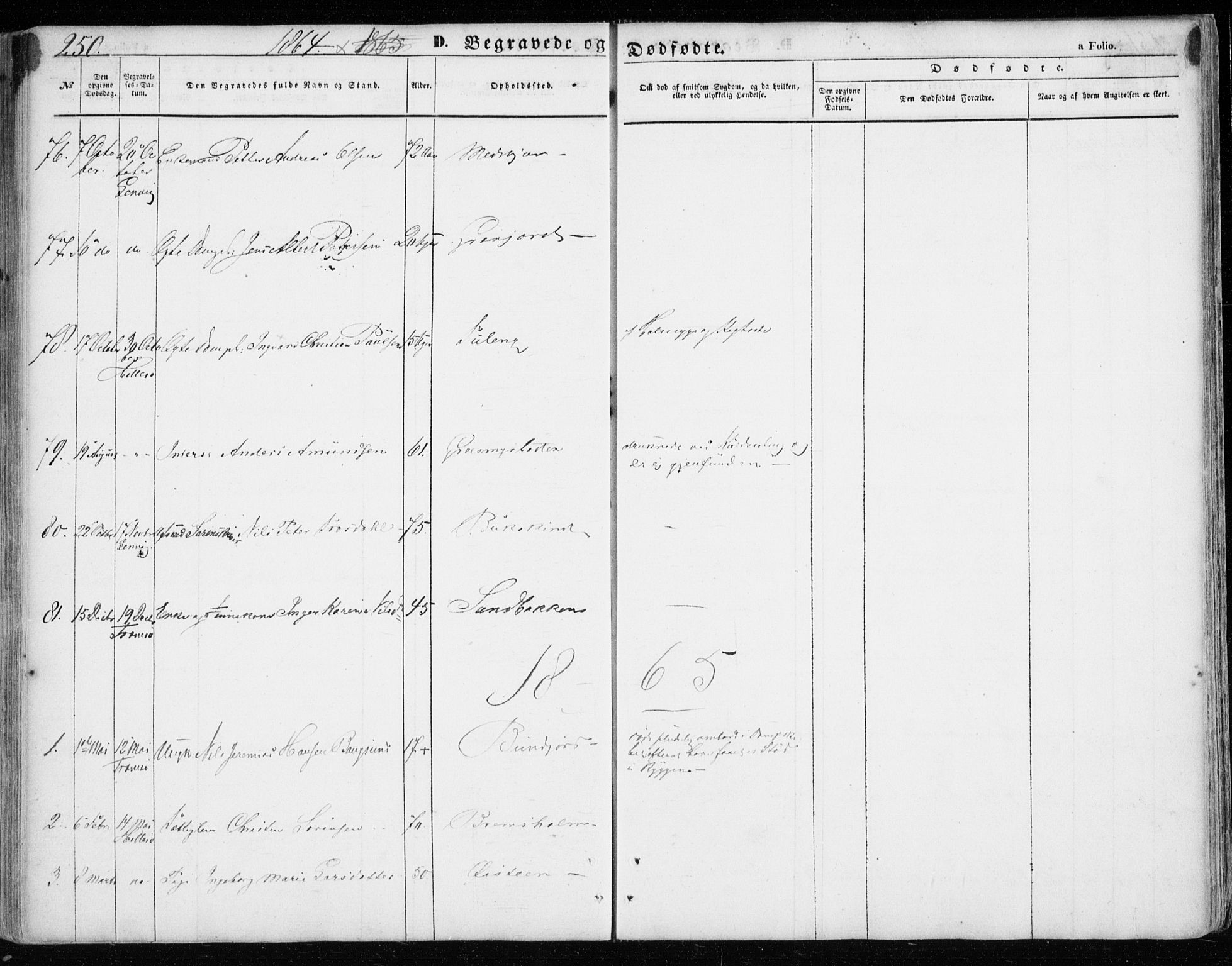 Lenvik sokneprestembete, SATØ/S-1310/H/Ha/Haa/L0007kirke: Parish register (official) no. 7, 1855-1865, p. 250