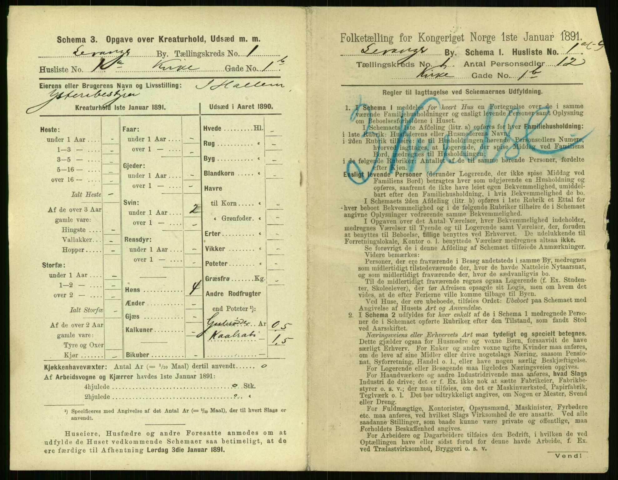 RA, 1891 census for 1701 Levanger, 1891, p. 13