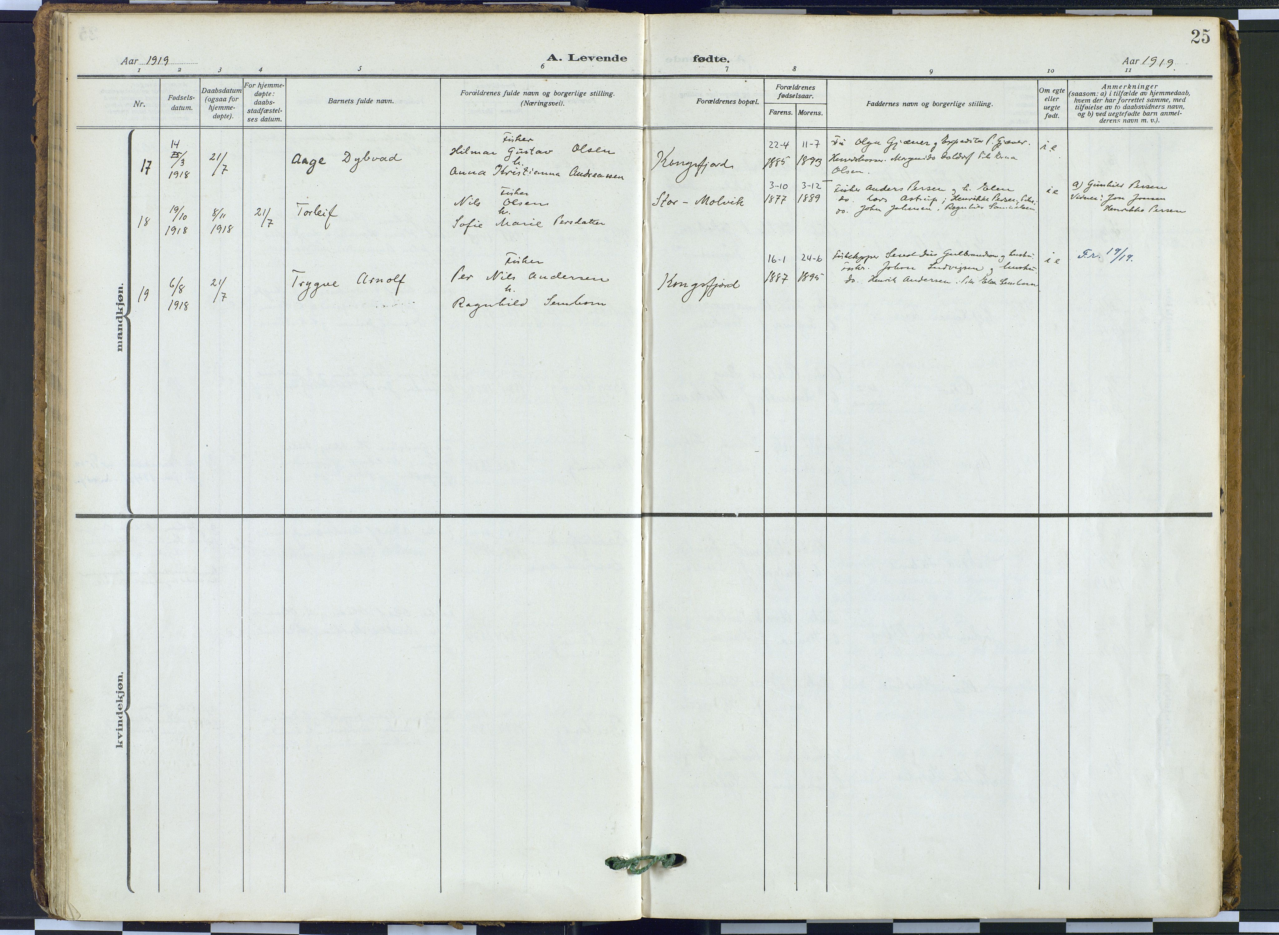 Tana sokneprestkontor, AV/SATØ-S-1334/H/Ha: Parish register (official) no. 9, 1914-1930, p. 25