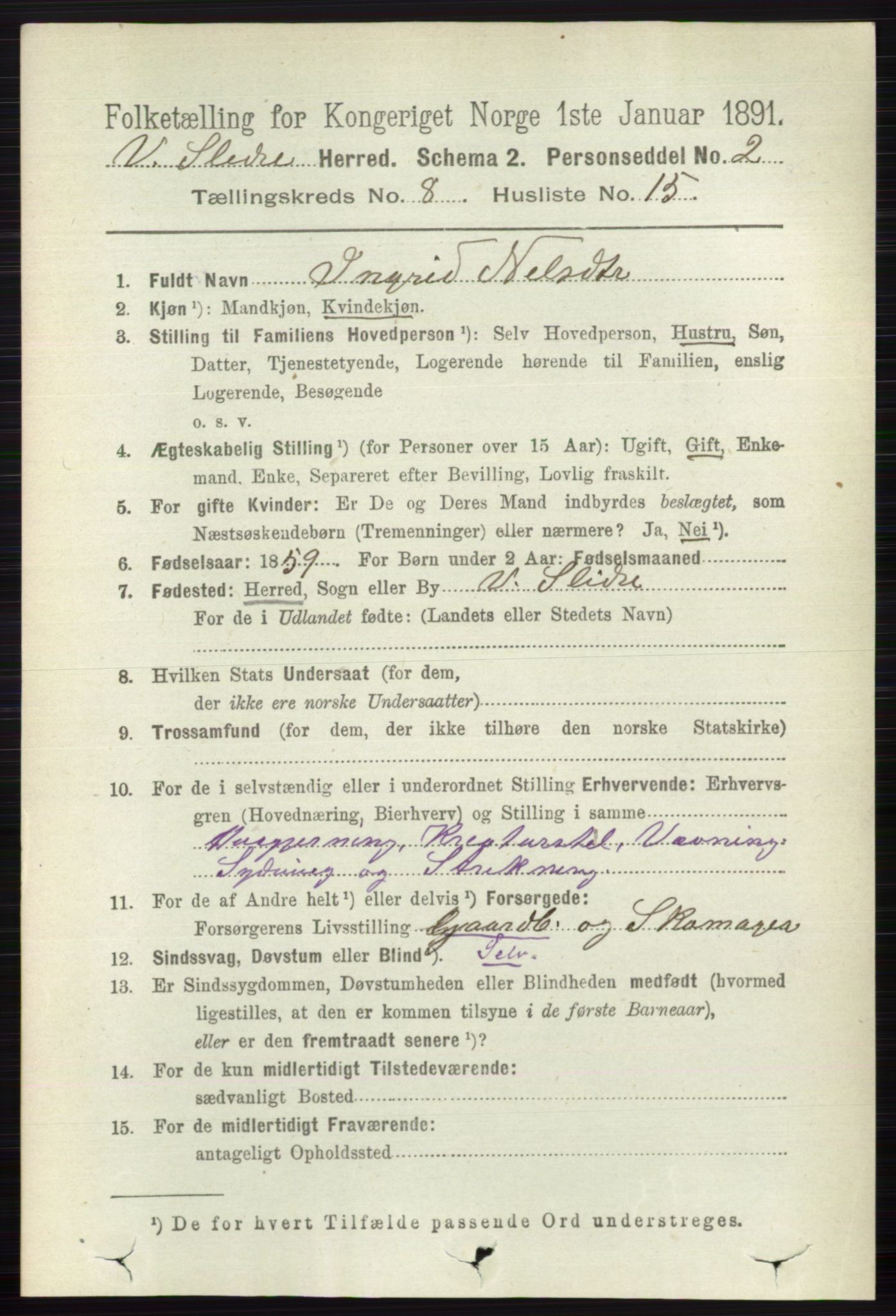 RA, 1891 census for 0543 Vestre Slidre, 1891, p. 3060