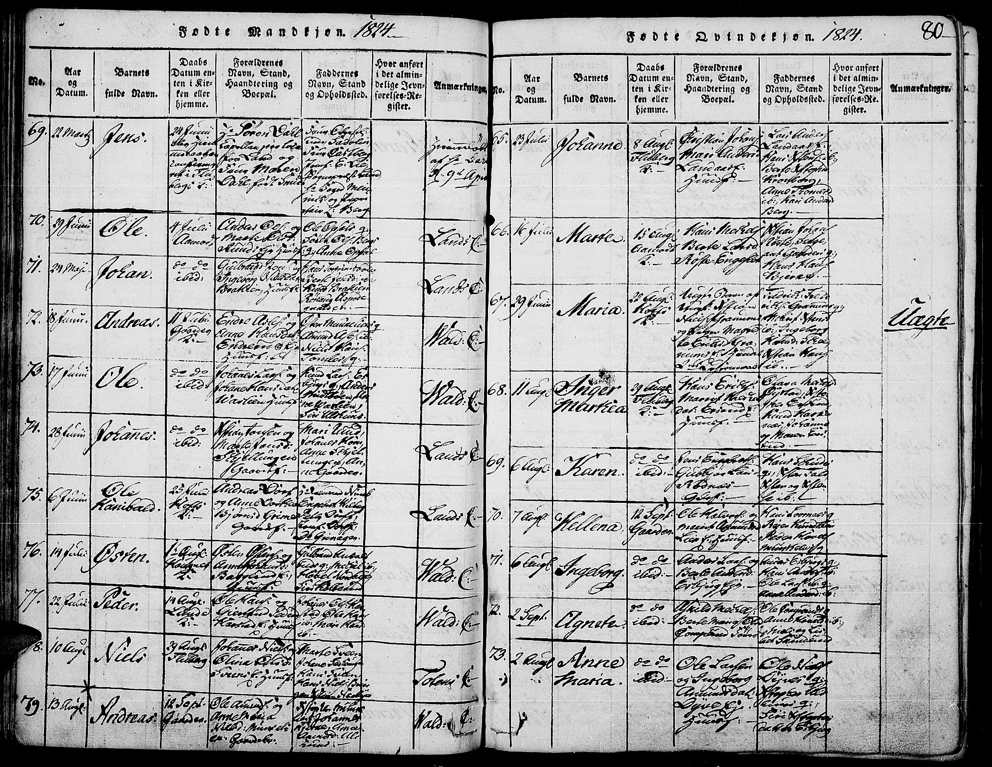 Land prestekontor, SAH/PREST-120/H/Ha/Haa/L0007: Parish register (official) no. 7, 1814-1830, p. 80
