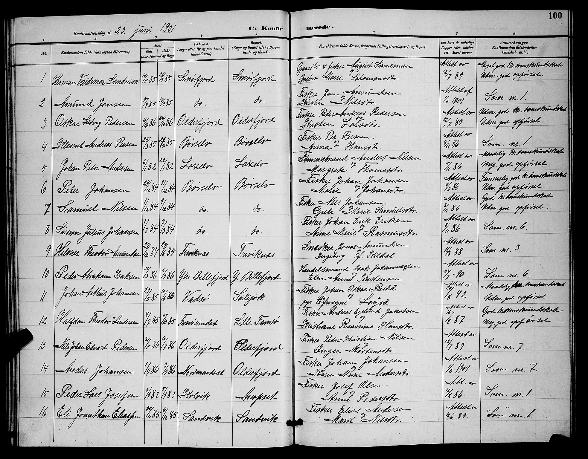 Kistrand/Porsanger sokneprestembete, AV/SATØ-S-1351/H/Hb/L0005.klokk: Parish register (copy) no. 5, 1895-1904, p. 100