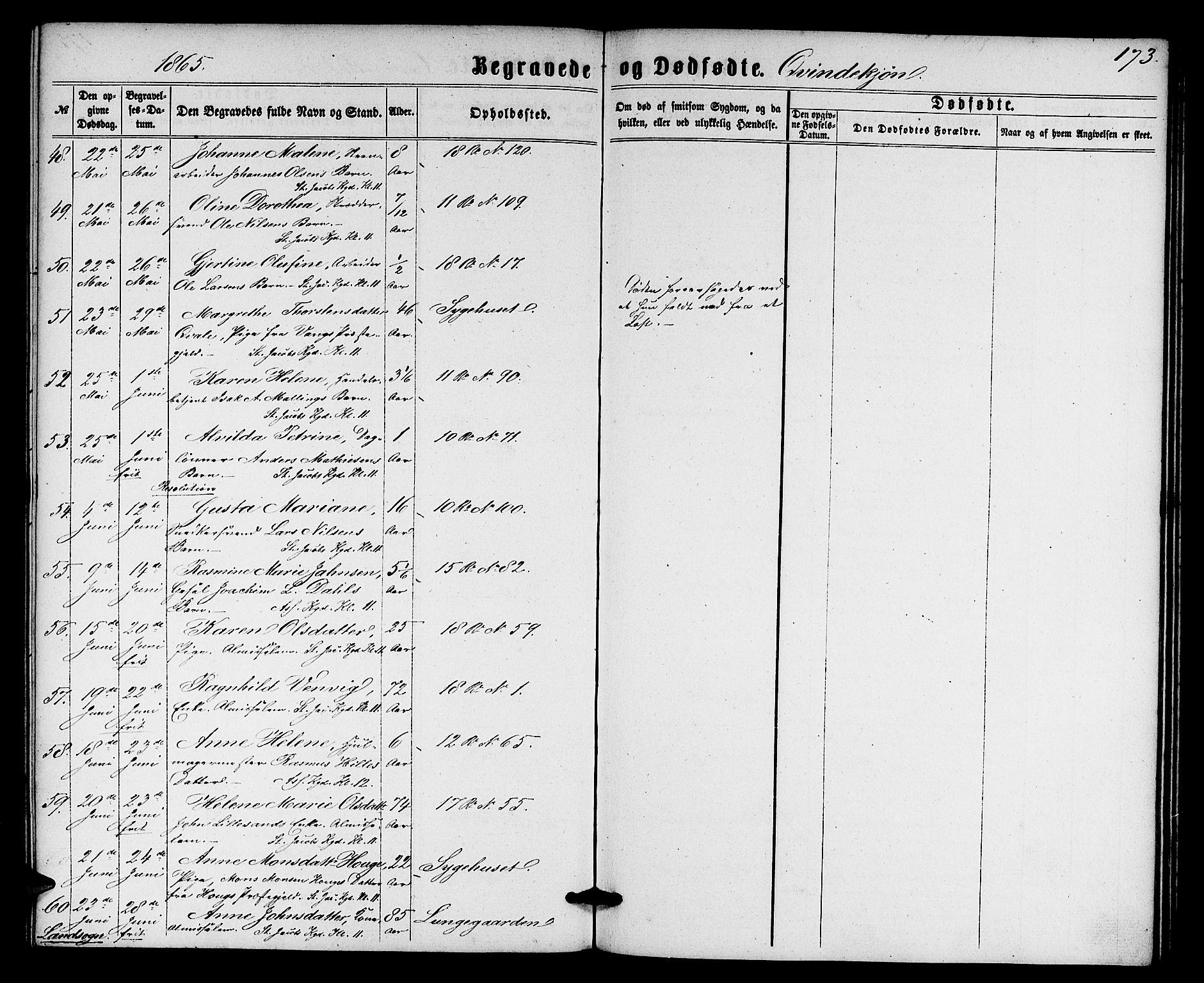 Domkirken sokneprestembete, AV/SAB-A-74801/H/Hab/L0039: Parish register (copy) no. E 3, 1860-1868, p. 173