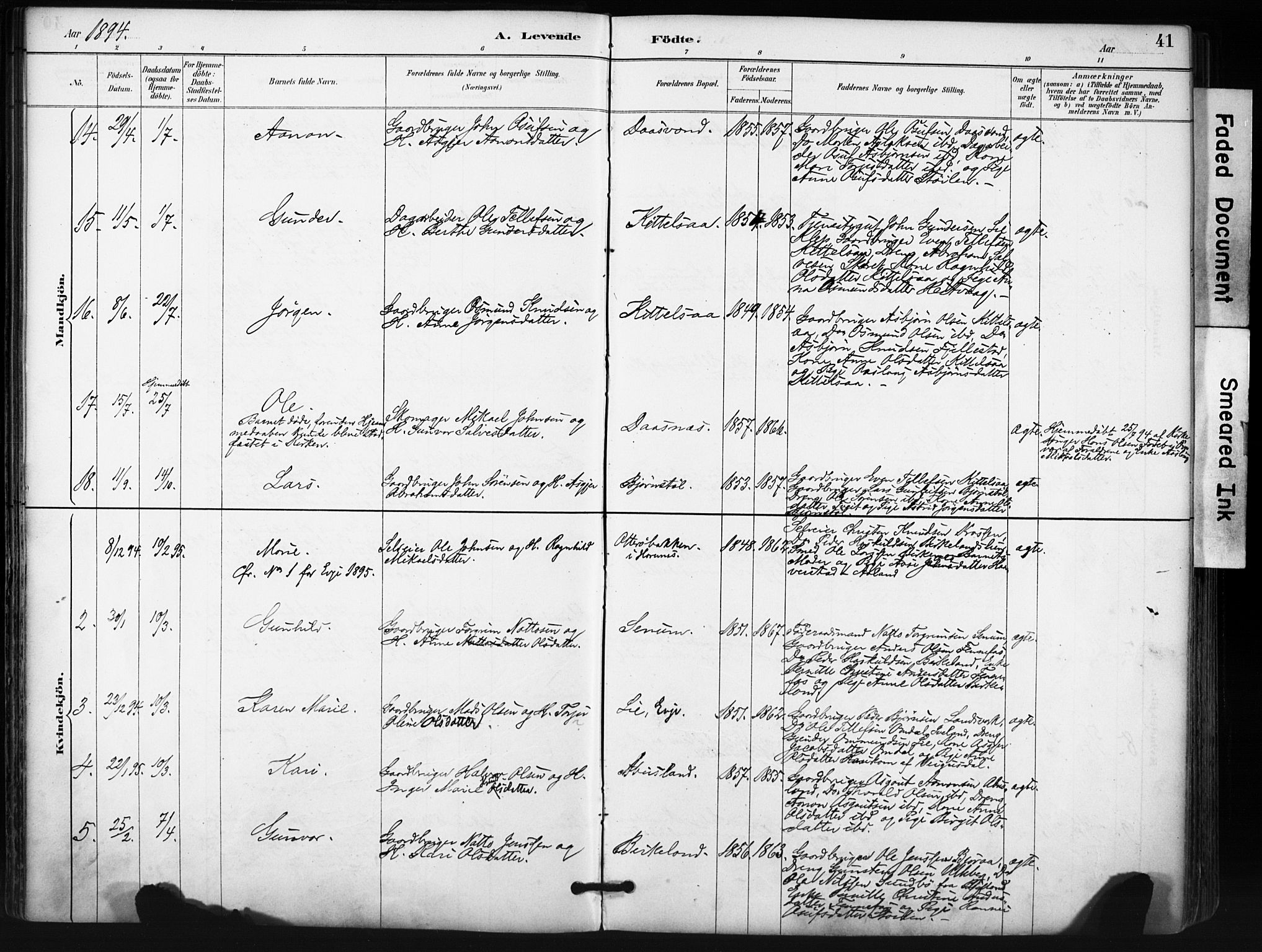 Evje sokneprestkontor, SAK/1111-0008/F/Fa/Fab/L0003: Parish register (official) no. A 3, 1884-1909, p. 41