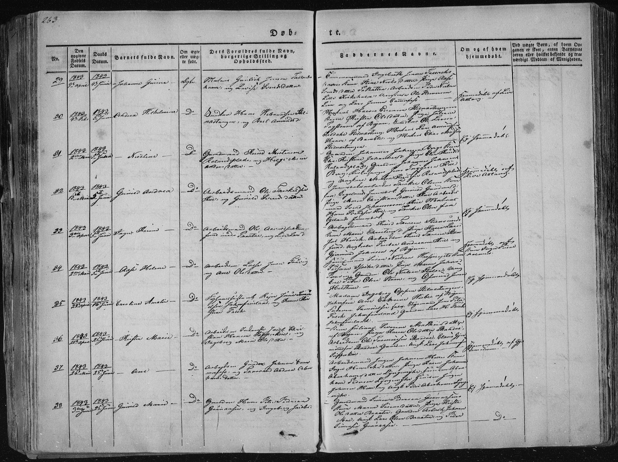 Sannidal kirkebøker, AV/SAKO-A-296/F/Fa/L0006: Parish register (official) no. 6, 1831-1847, p. 263