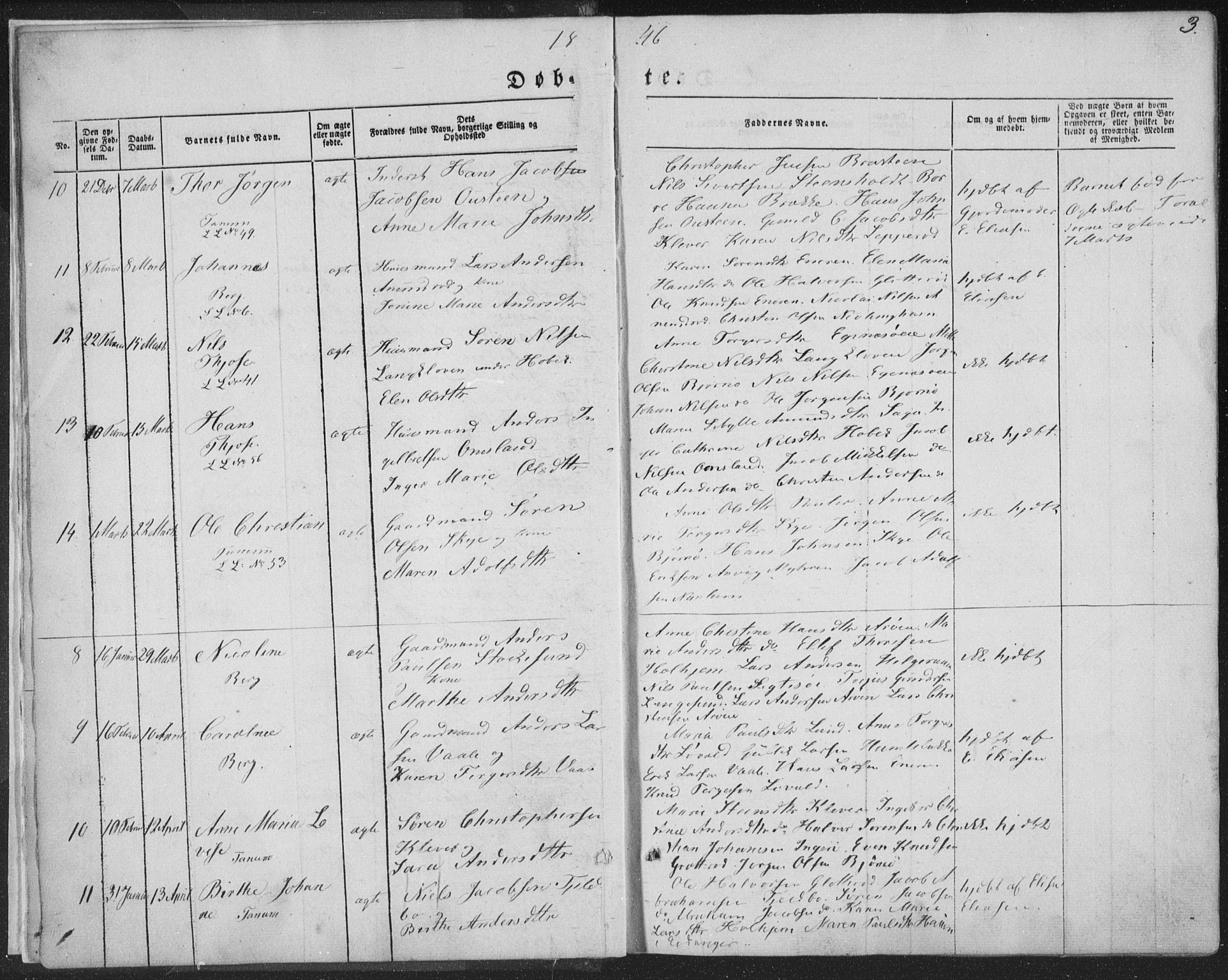 Brunlanes kirkebøker, AV/SAKO-A-342/F/Fa/L0004: Parish register (official) no. I 4, 1846-1862, p. 3