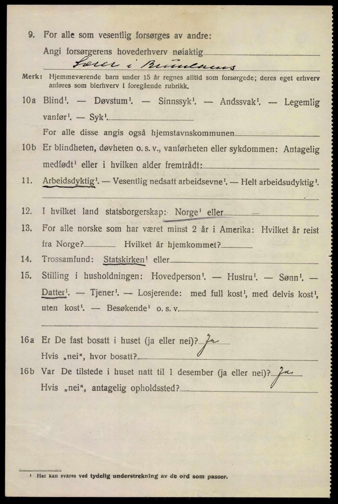 SAKO, 1920 census for Brunlanes, 1920, p. 8612