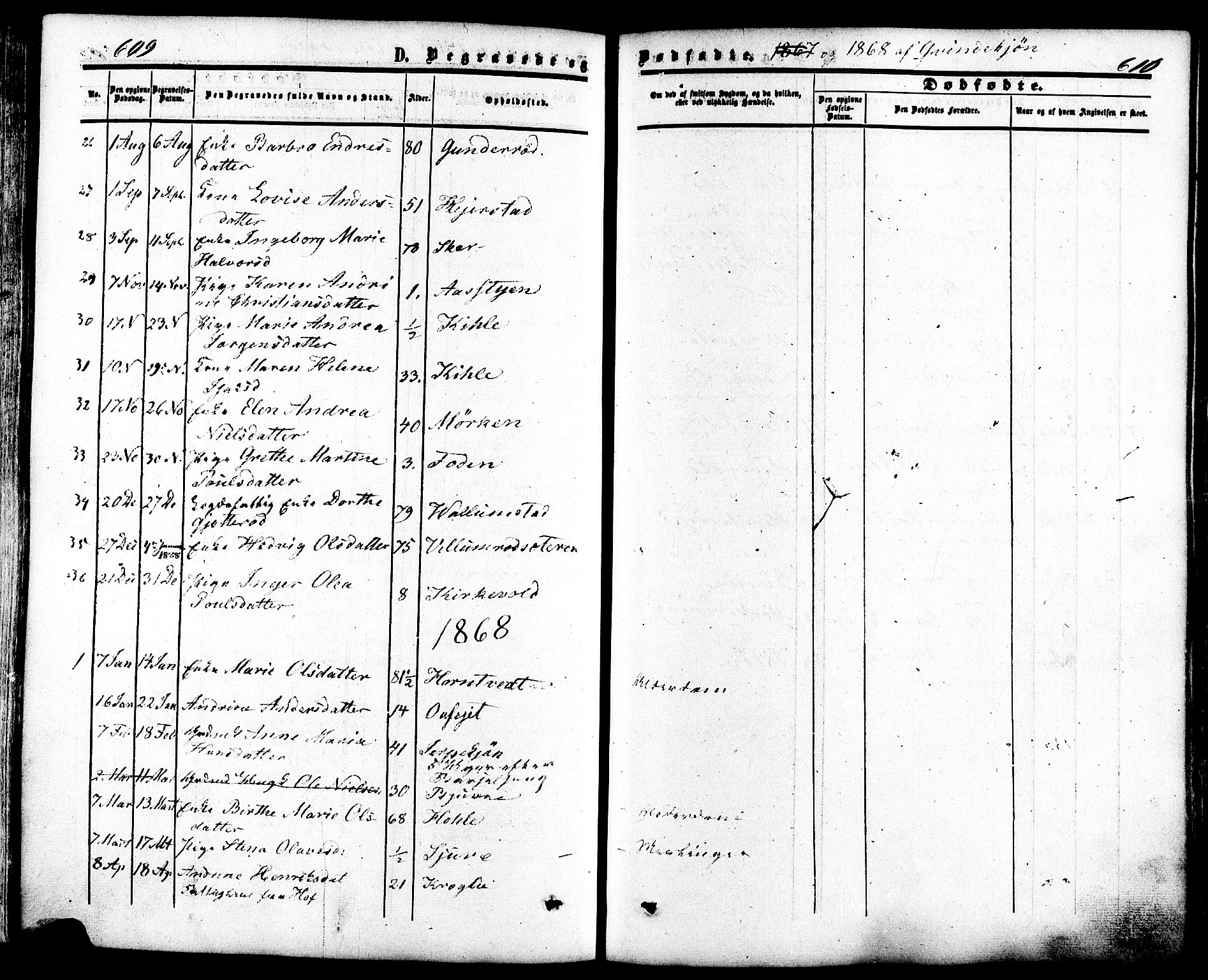 Ramnes kirkebøker, SAKO/A-314/F/Fa/L0006: Parish register (official) no. I 6, 1862-1877, p. 609-610