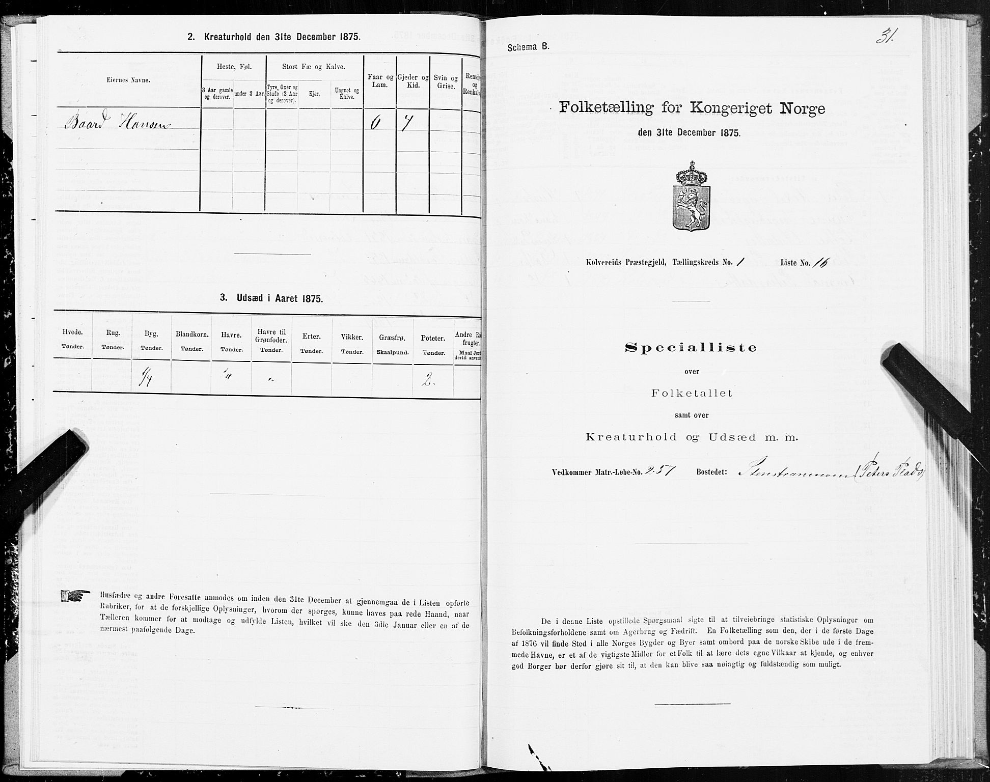 SAT, 1875 census for 1752P Kolvereid, 1875, p. 1031