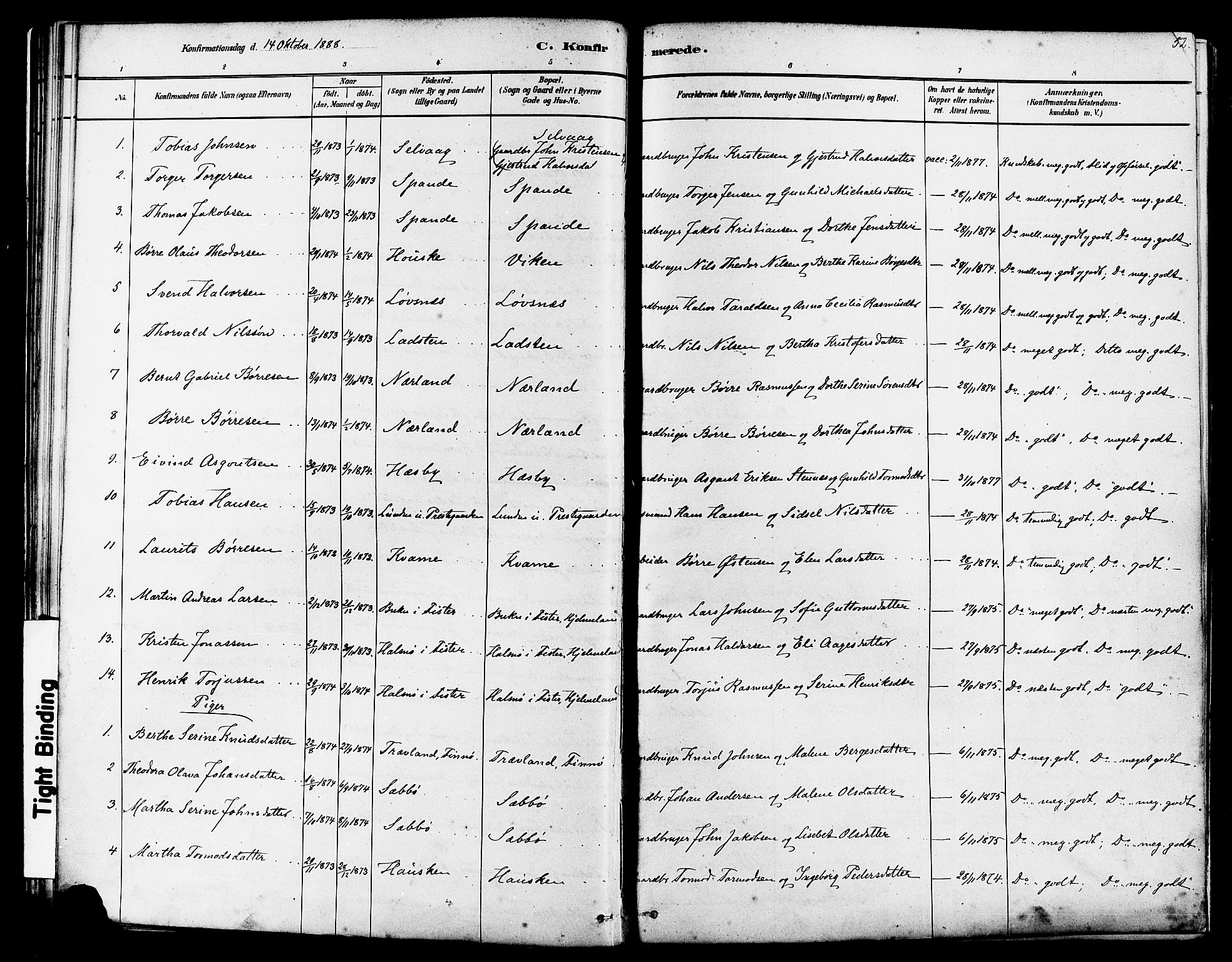 Finnøy sokneprestkontor, SAST/A-101825/H/Ha/Haa/L0010: Parish register (official) no. A 10, 1879-1890, p. 52