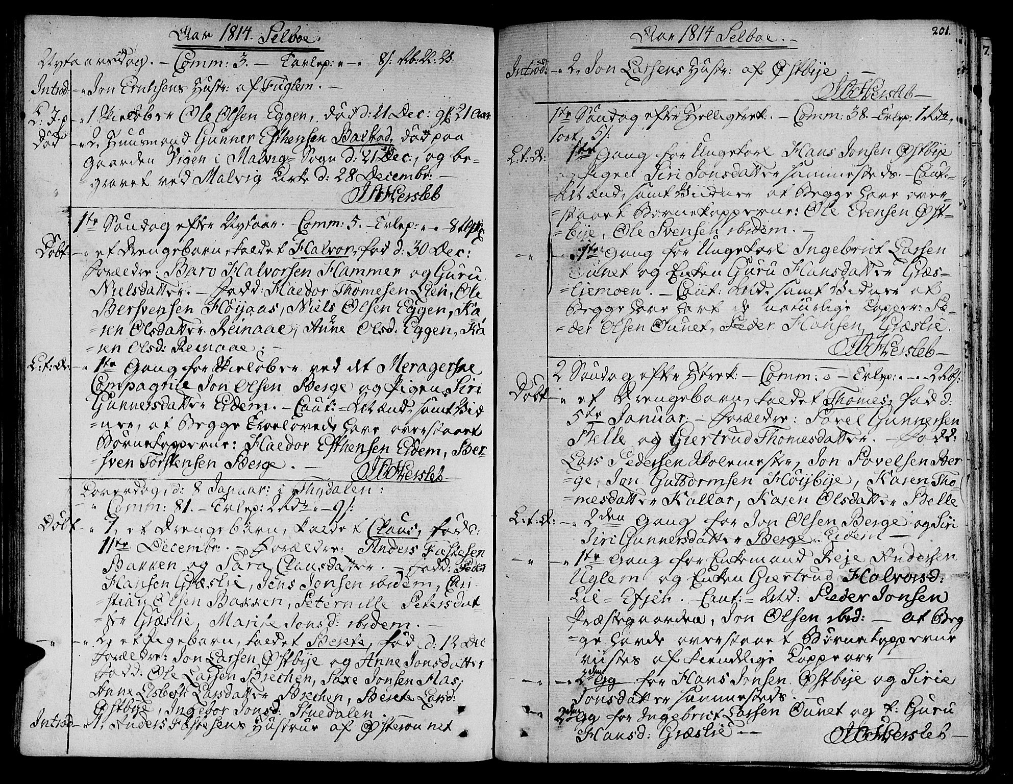 Ministerialprotokoller, klokkerbøker og fødselsregistre - Sør-Trøndelag, SAT/A-1456/695/L1140: Parish register (official) no. 695A03, 1801-1815, p. 201
