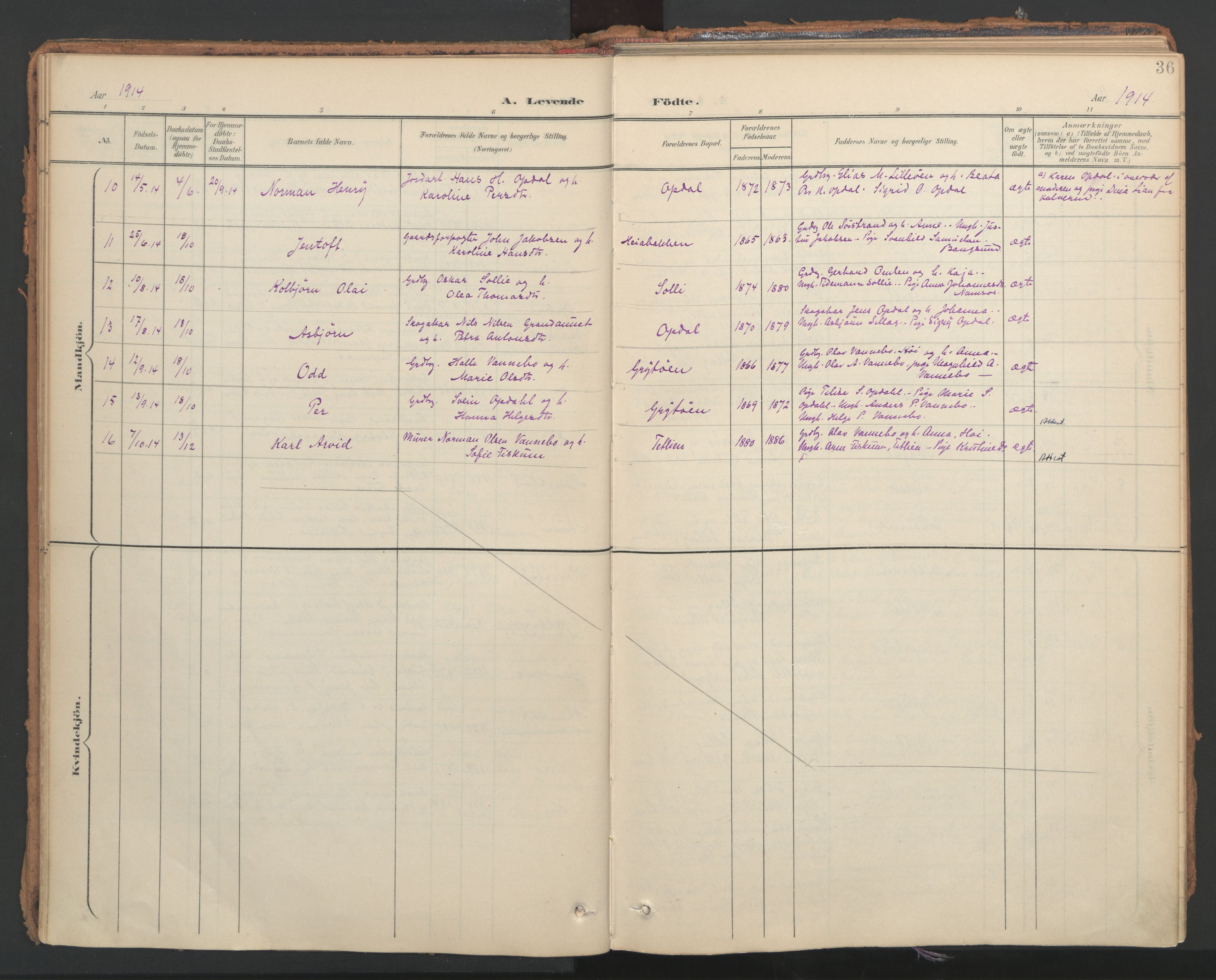 Ministerialprotokoller, klokkerbøker og fødselsregistre - Nord-Trøndelag, SAT/A-1458/766/L0564: Parish register (official) no. 767A02, 1900-1932, p. 36