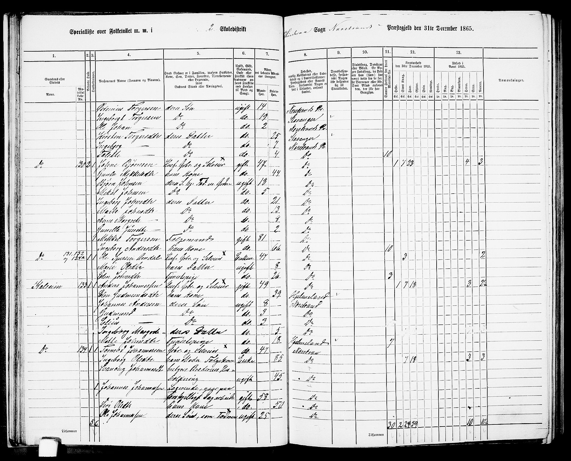 RA, 1865 census for Nedstrand, 1865, p. 34