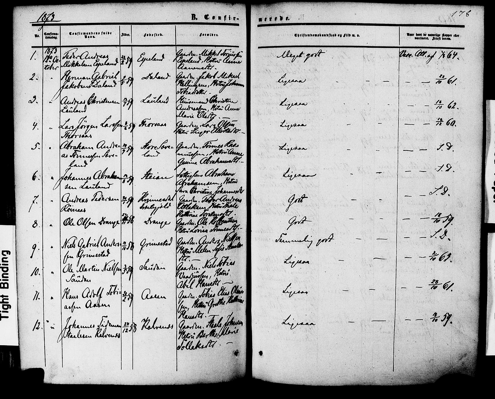 Herad sokneprestkontor, AV/SAK-1111-0018/F/Fa/Faa/L0005: Parish register (official) no. A 5, 1853-1886, p. 178