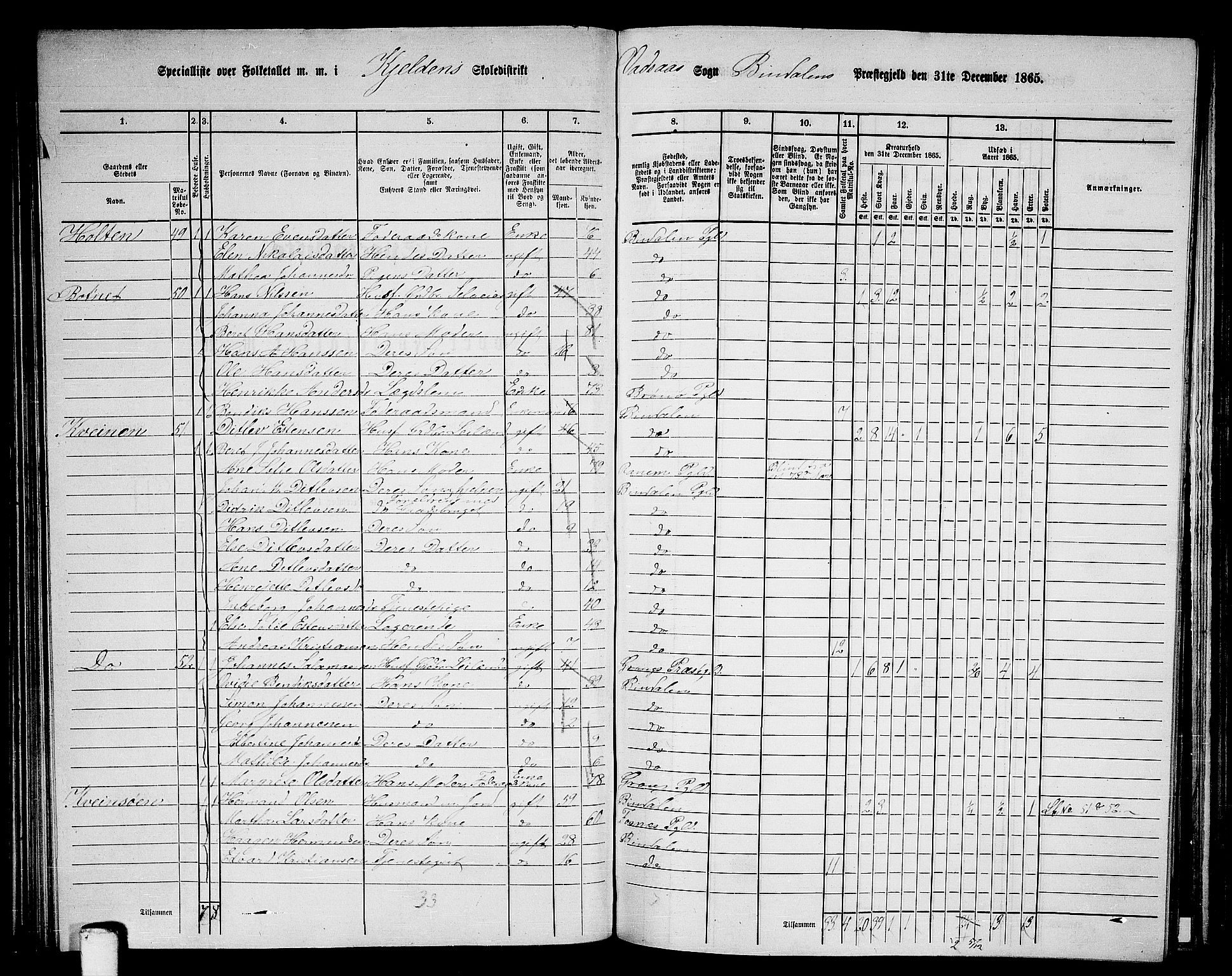 RA, 1865 census for Bindal, 1865, p. 68