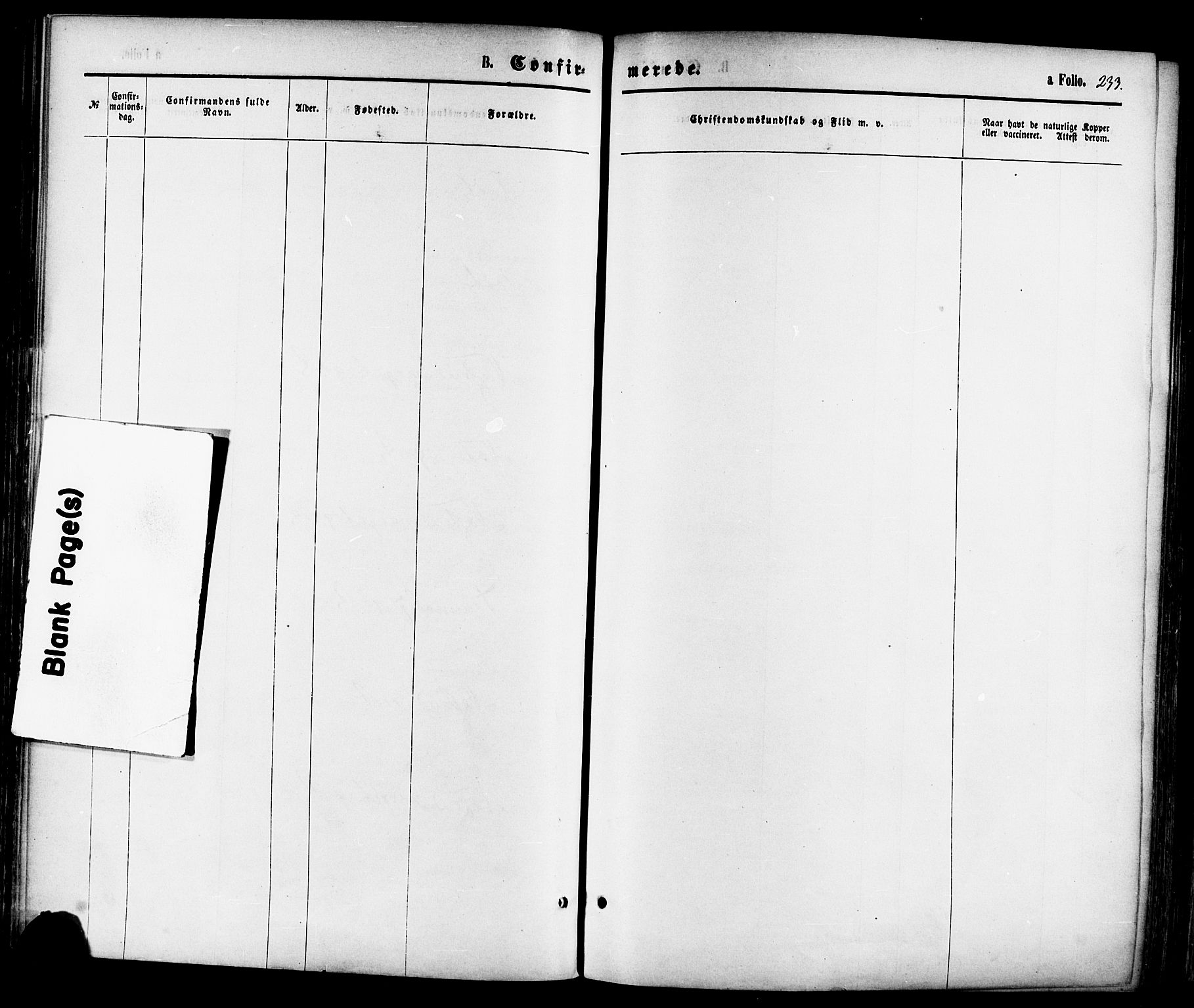 Sokndal sokneprestkontor, AV/SAST-A-101808: Parish register (official) no. A 10, 1874-1886, p. 233