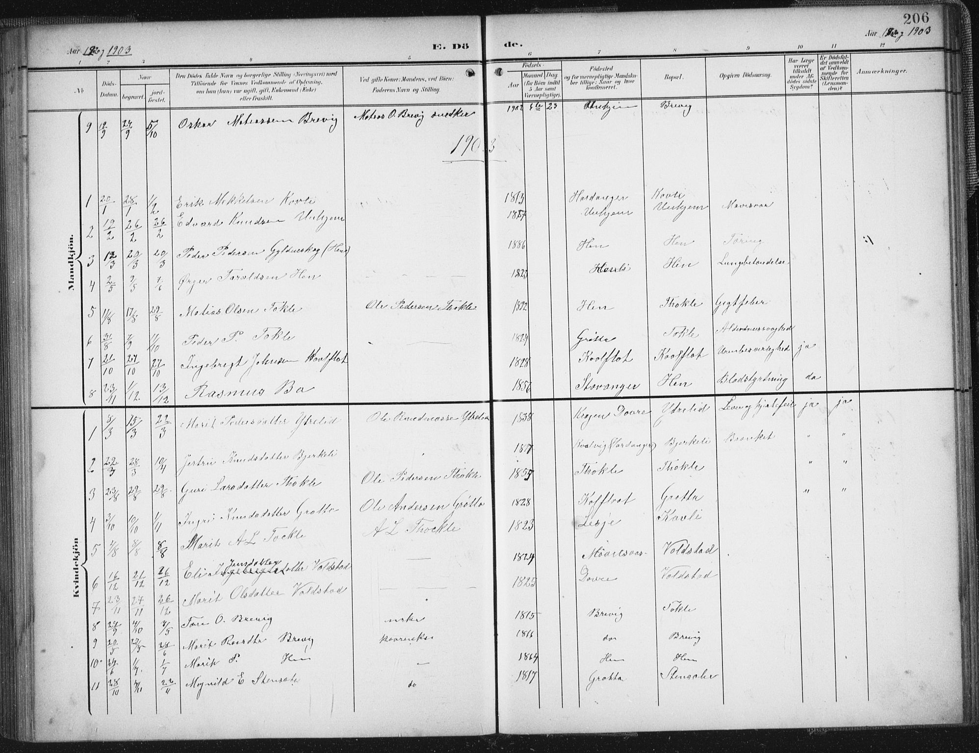 Ministerialprotokoller, klokkerbøker og fødselsregistre - Møre og Romsdal, SAT/A-1454/545/L0589: Parish register (copy) no. 545C03, 1902-1937, p. 206