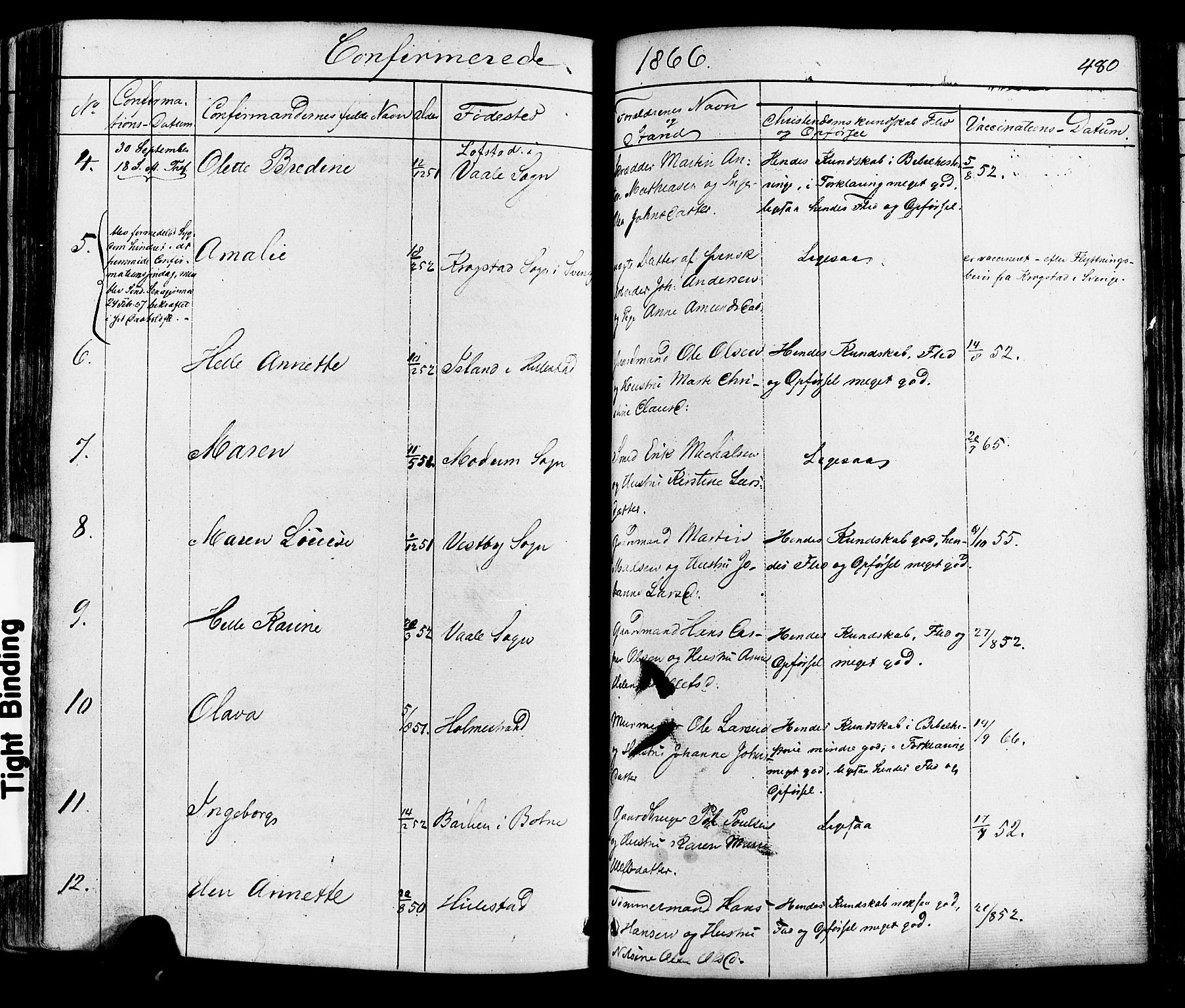 Botne kirkebøker, AV/SAKO-A-340/F/Fa/L0006: Parish register (official) no. I 6, 1836-1877, p. 480