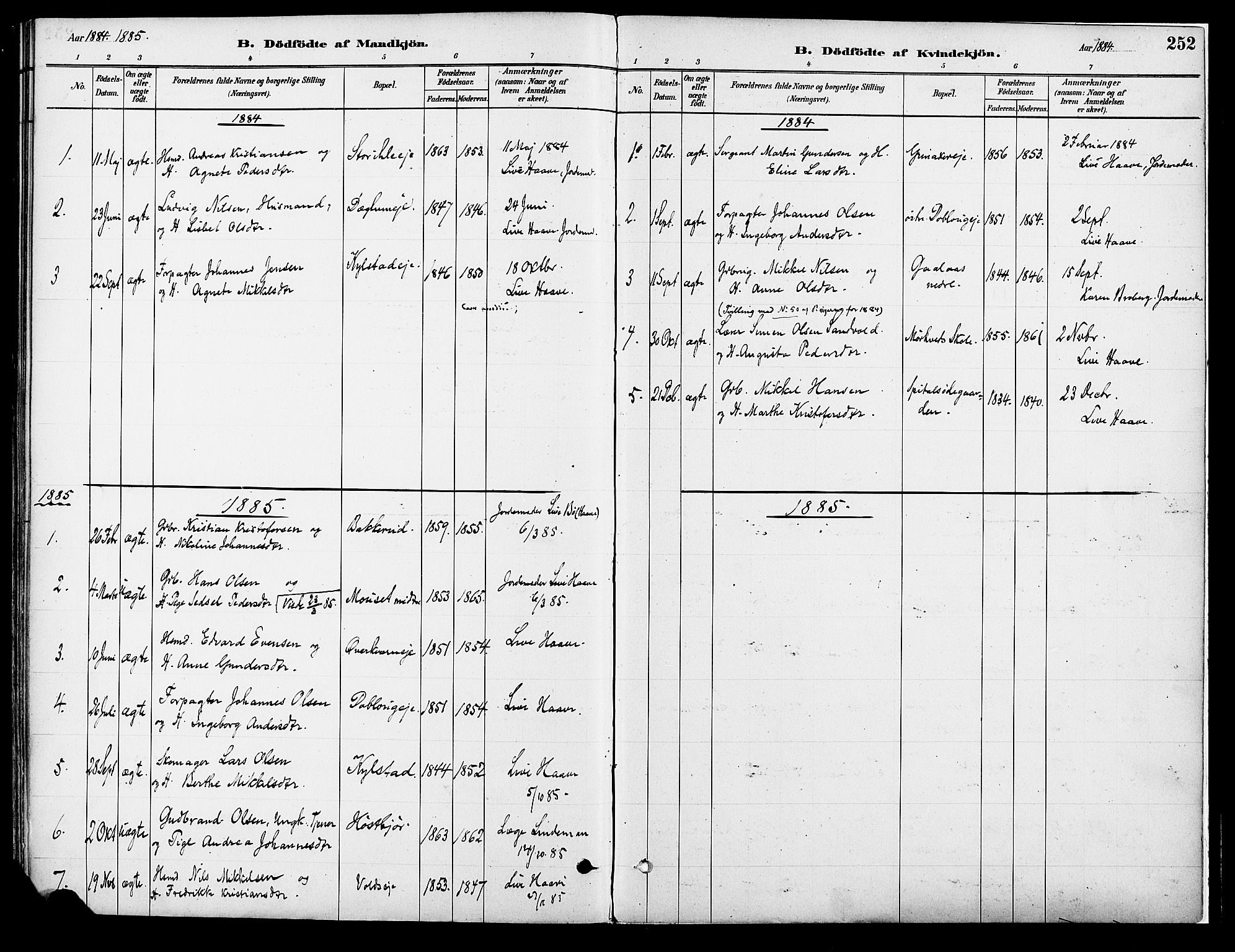Vang prestekontor, Hedmark, SAH/PREST-008/H/Ha/Haa/L0018A: Parish register (official) no. 18A, 1880-1906, p. 252