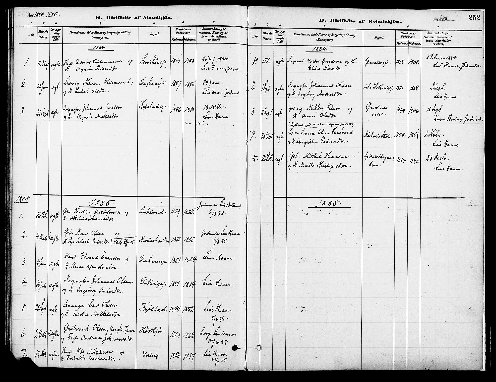 Vang prestekontor, Hedmark, AV/SAH-PREST-008/H/Ha/Haa/L0018A: Parish register (official) no. 18A, 1880-1906, p. 252