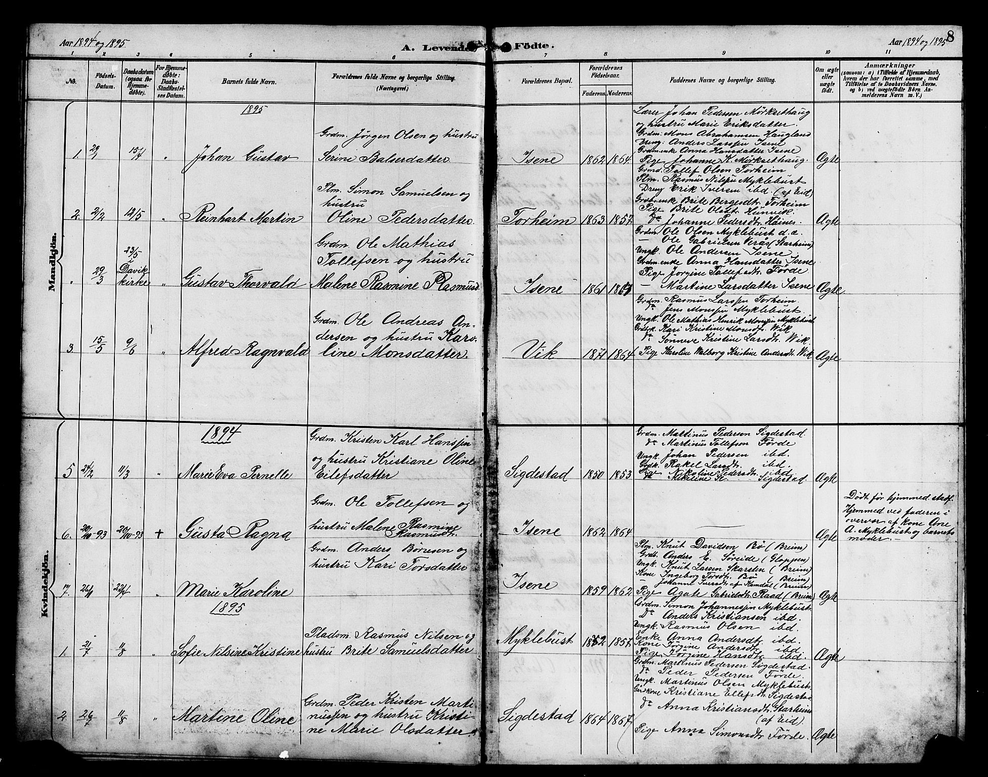 Davik sokneprestembete, SAB/A-79701/H/Hab/Habd/L0002: Parish register (copy) no. D 2, 1890-1919, p. 8