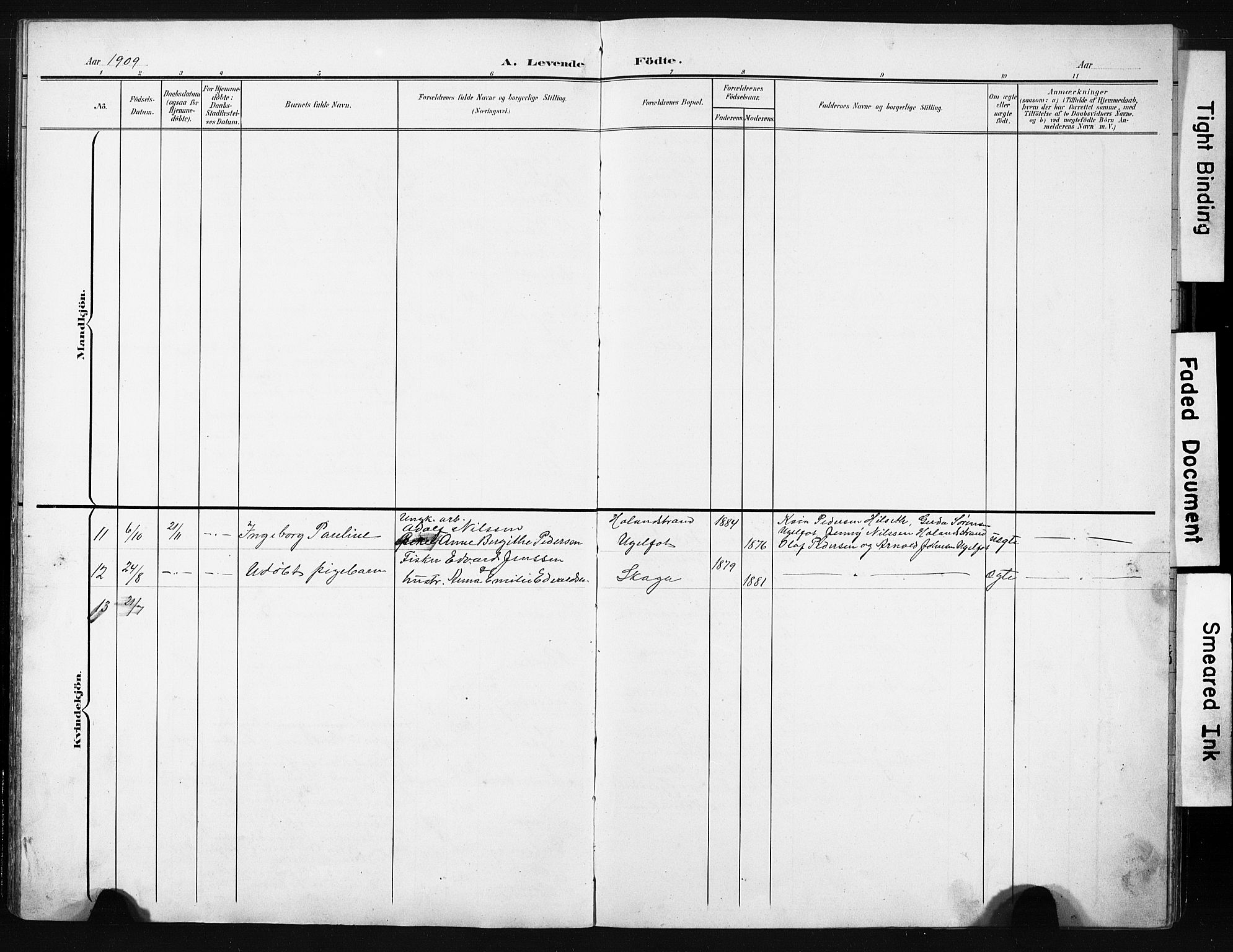 Ministerialprotokoller, klokkerbøker og fødselsregistre - Nordland, AV/SAT-A-1459/836/L0538: Parish register (copy) no. 836C02, 1901-1917