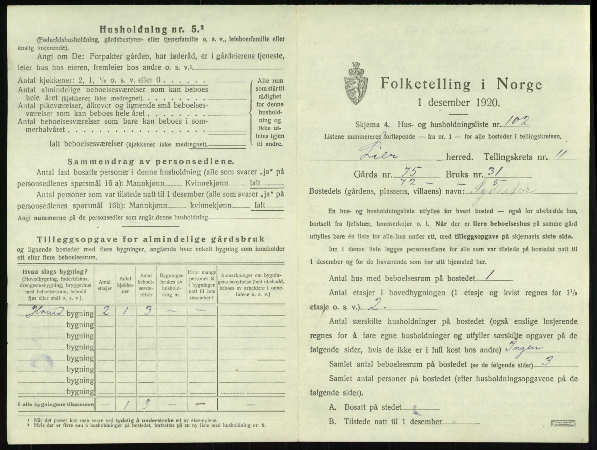 SAKO, 1920 census for Lier, 1920, p. 2015