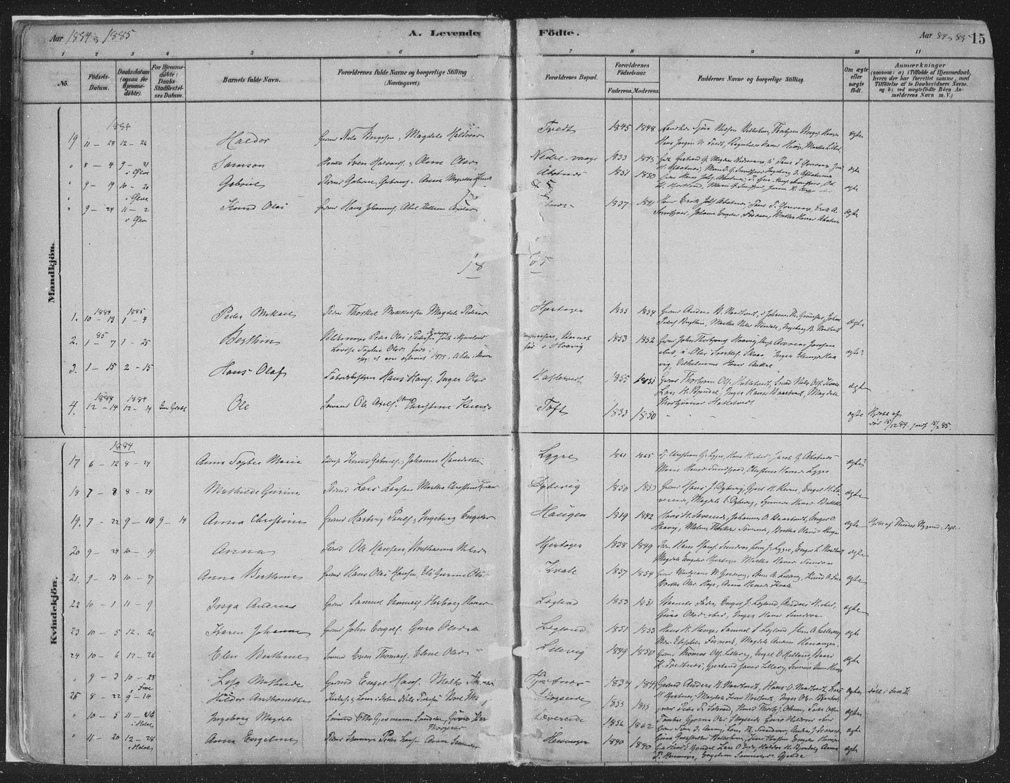 Fusa sokneprestembete, AV/SAB-A-75401/H/Haa: Parish register (official) no. D 1, 1880-1938, p. 15