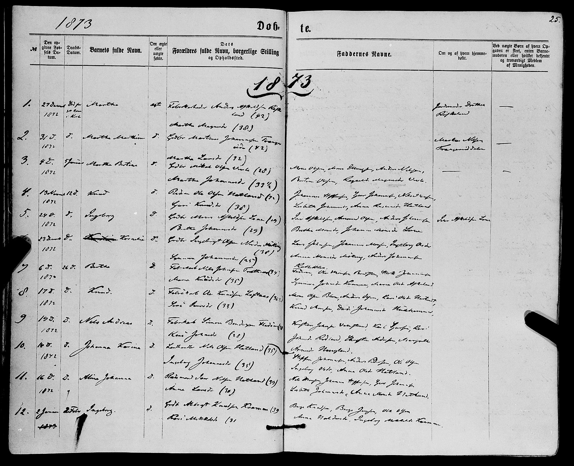 Haus sokneprestembete, SAB/A-75601/H/Haa: Parish register (official) no. A 18, 1871-1877, p. 25