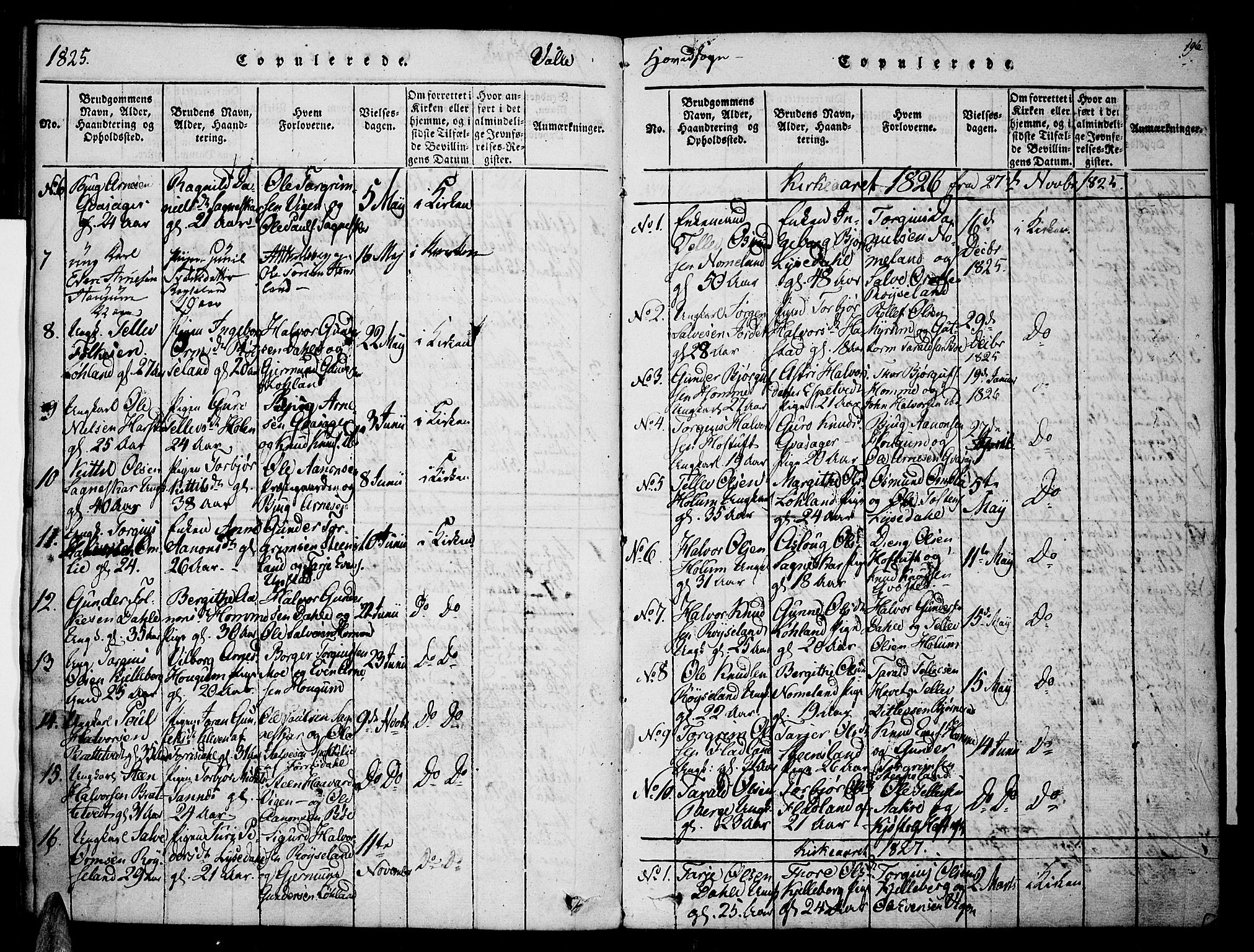 Valle sokneprestkontor, SAK/1111-0044/F/Fa/Fac/L0005: Parish register (official) no. A 5 /1, 1816-1831, p. 196