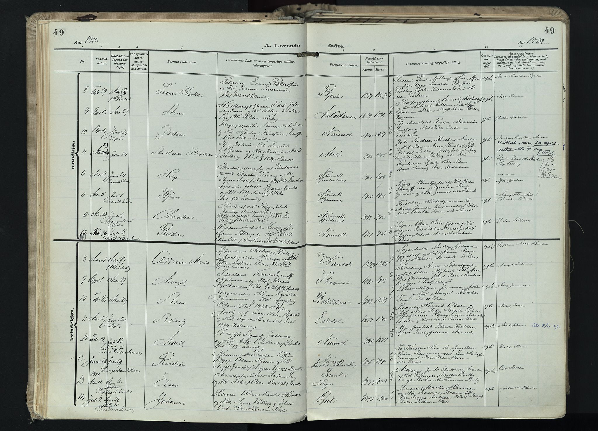 Hedrum kirkebøker, AV/SAKO-A-344/F/Fa/L0011: Parish register (official) no. I 11, 1919-1933, p. 49