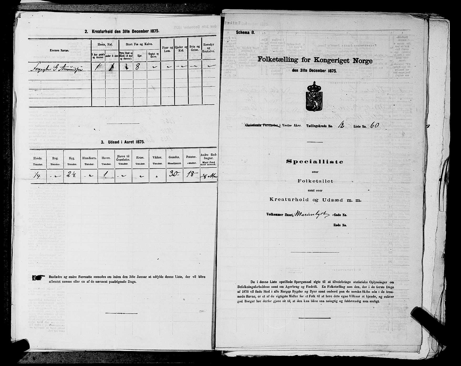 RA, 1875 census for 0218aP Vestre Aker, 1875, p. 2029