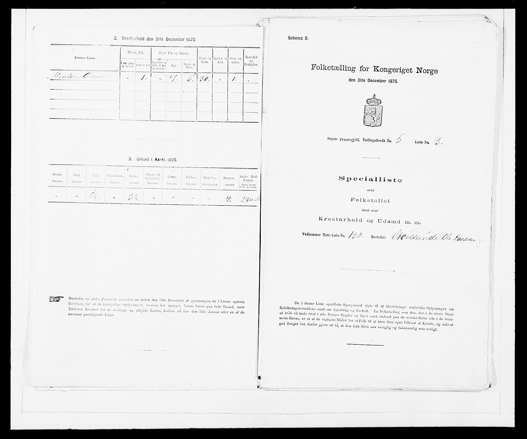 SAB, 1875 Census for 1448P Stryn, 1875, p. 325