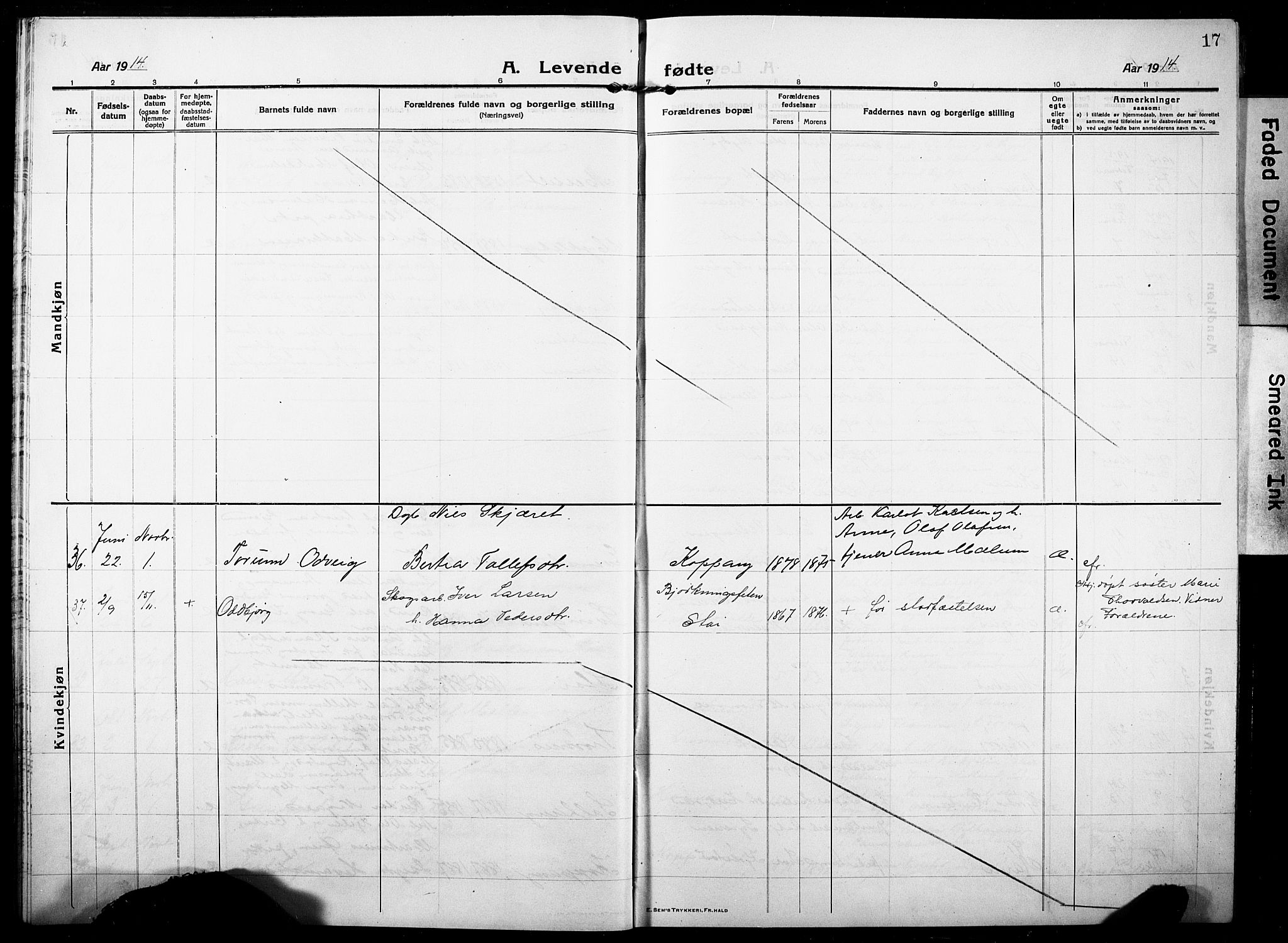Stor-Elvdal prestekontor, SAH/PREST-052/H/Ha/Hab/L0005: Parish register (copy) no. 5, 1913-1932, p. 17