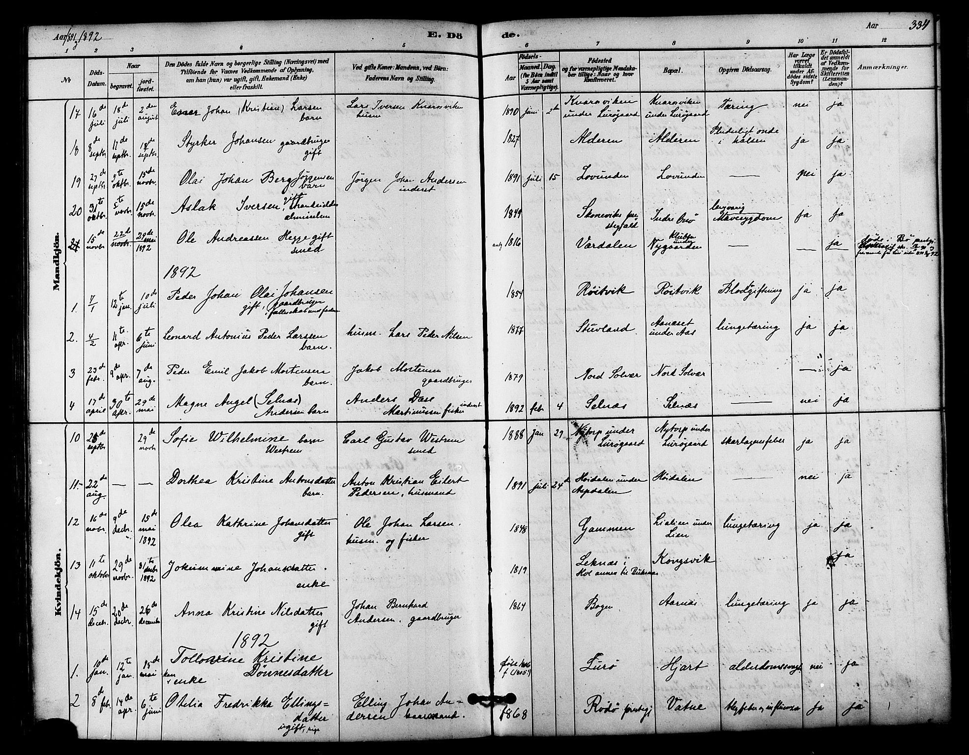Ministerialprotokoller, klokkerbøker og fødselsregistre - Nordland, SAT/A-1459/839/L0568: Parish register (official) no. 839A05, 1880-1902, p. 334