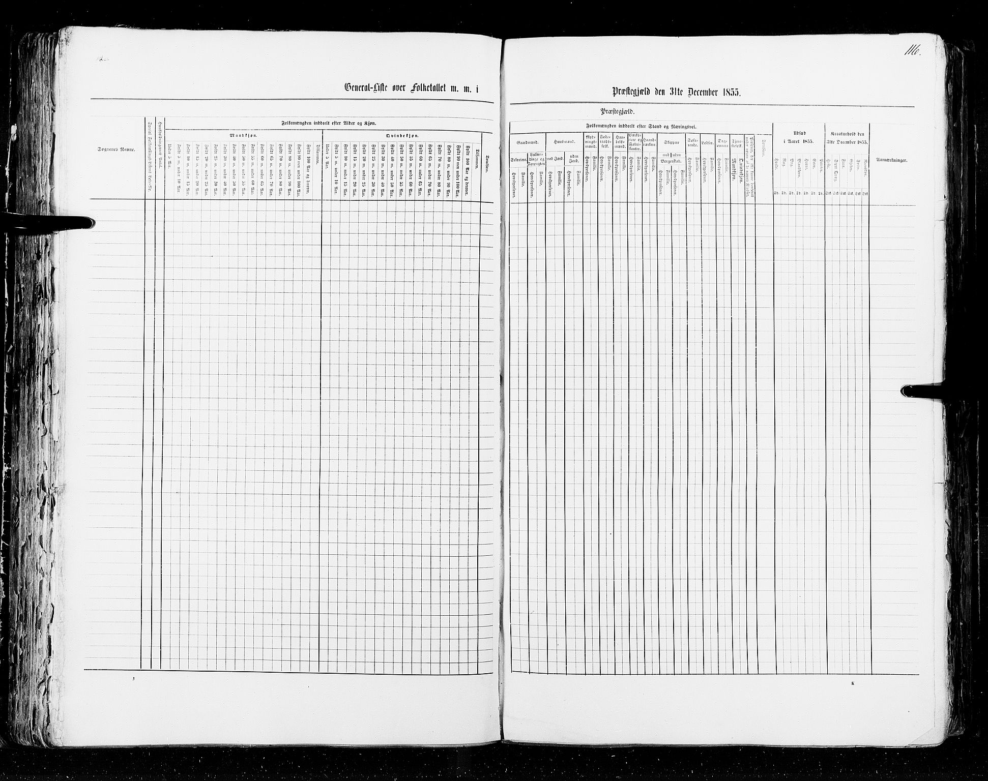 RA, Census 1855, vol. 2: Kristians amt, Buskerud amt og Jarlsberg og Larvik amt, 1855, p. 116