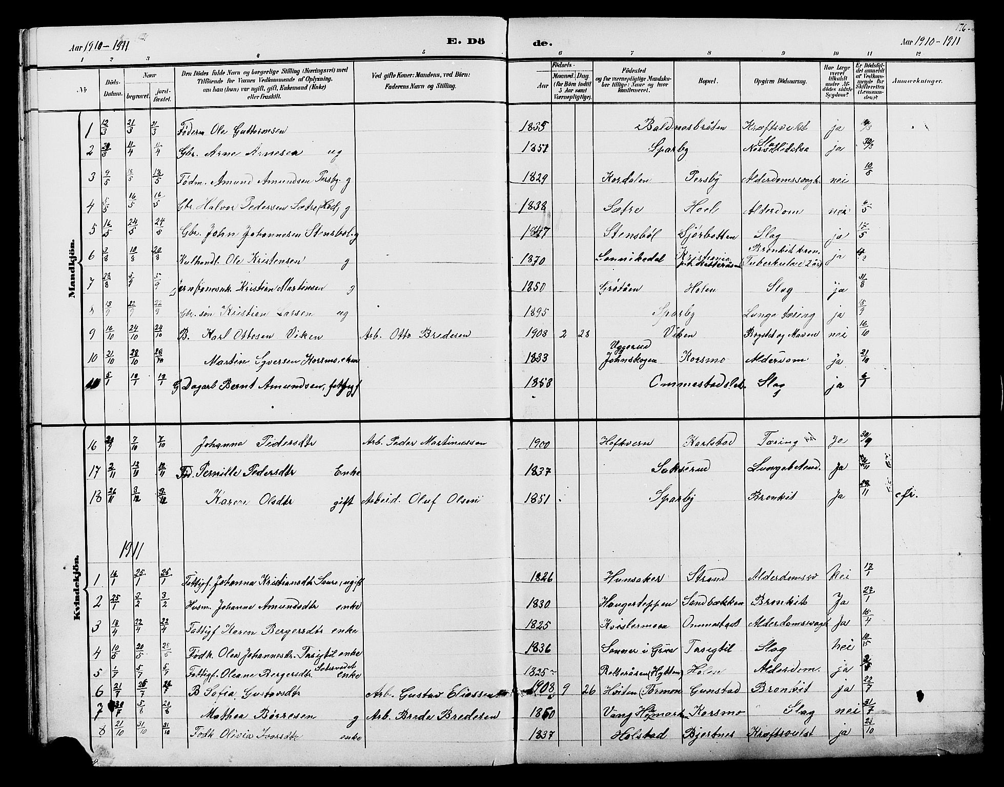 Hof prestekontor, AV/SAH-PREST-038/H/Ha/Hab/L0001: Parish register (copy) no. 1, 1895-1914, p. 176