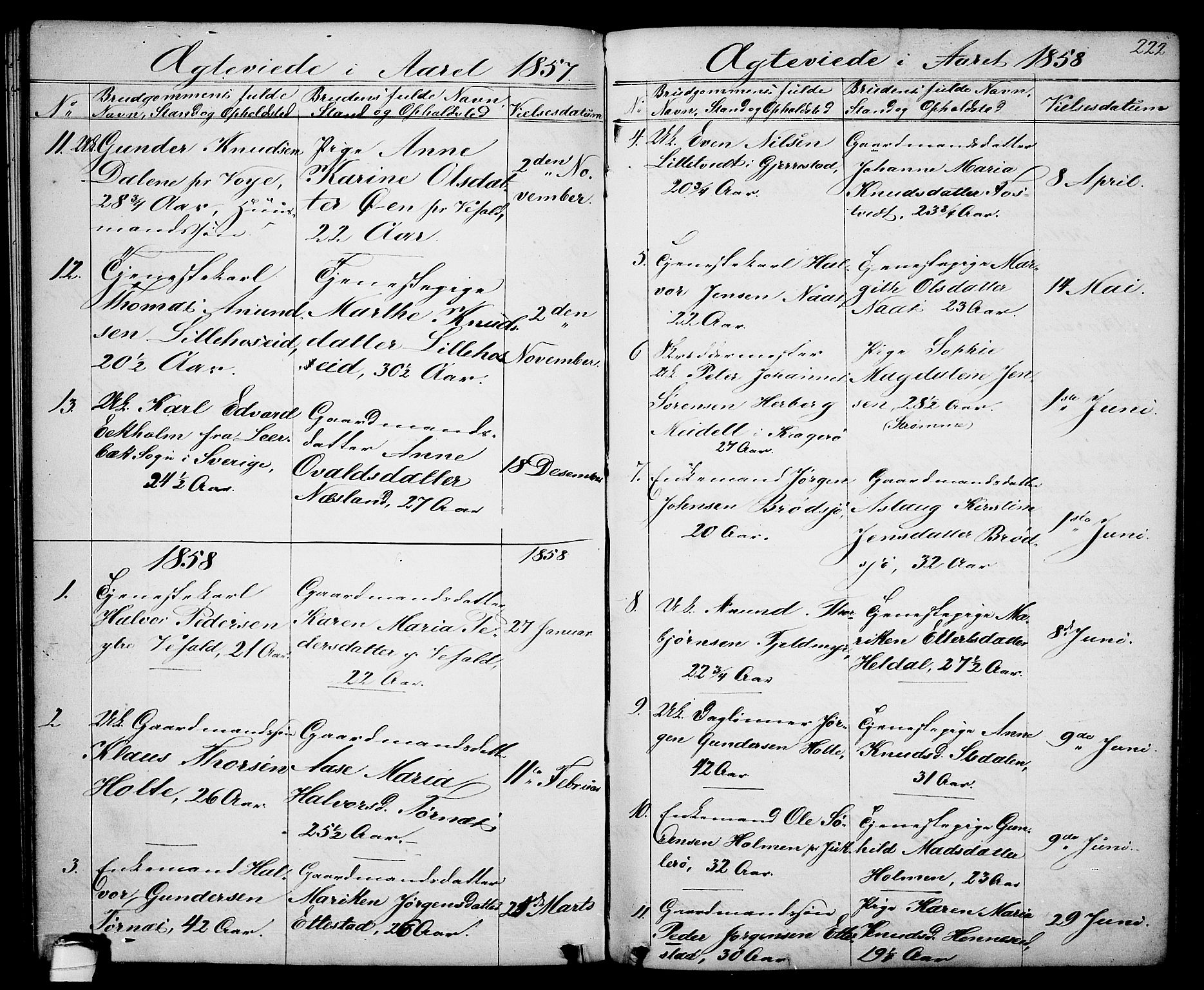 Drangedal kirkebøker, SAKO/A-258/G/Ga/L0002: Parish register (copy) no. I 2, 1856-1887, p. 222