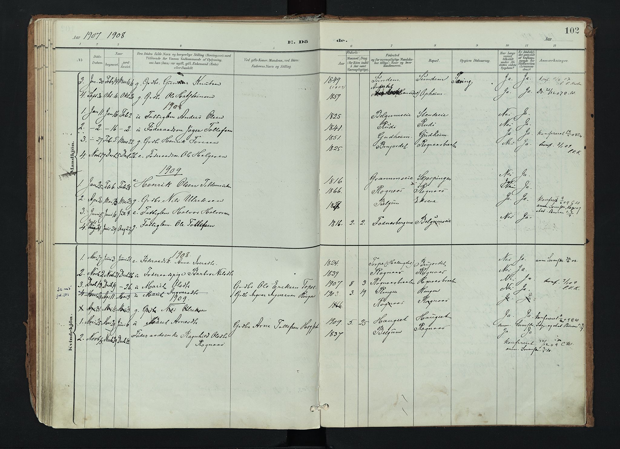 Nord-Aurdal prestekontor, AV/SAH-PREST-132/H/Ha/Haa/L0017: Parish register (official) no. 17, 1897-1926, p. 102